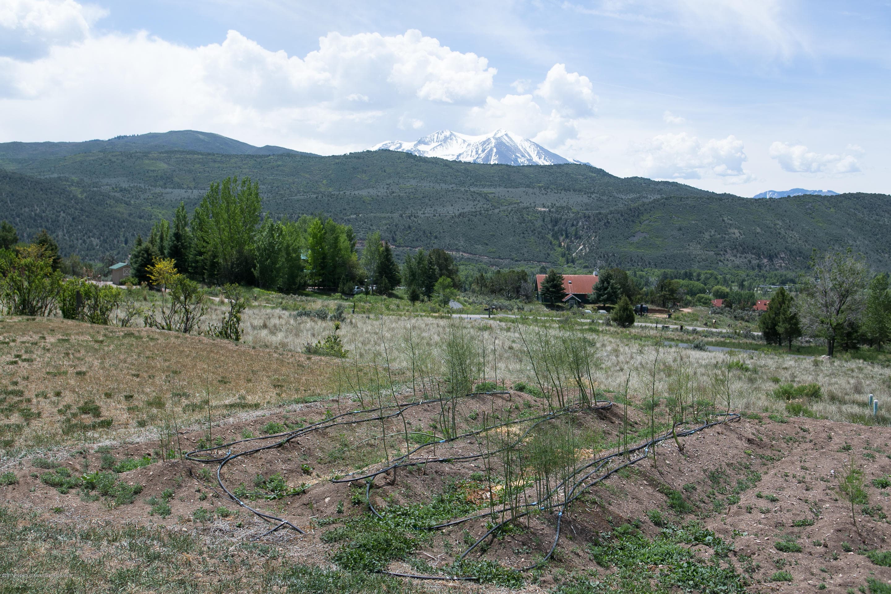 453 Lions Ridge Road, Carbondale, CO 81623 - Photo 9