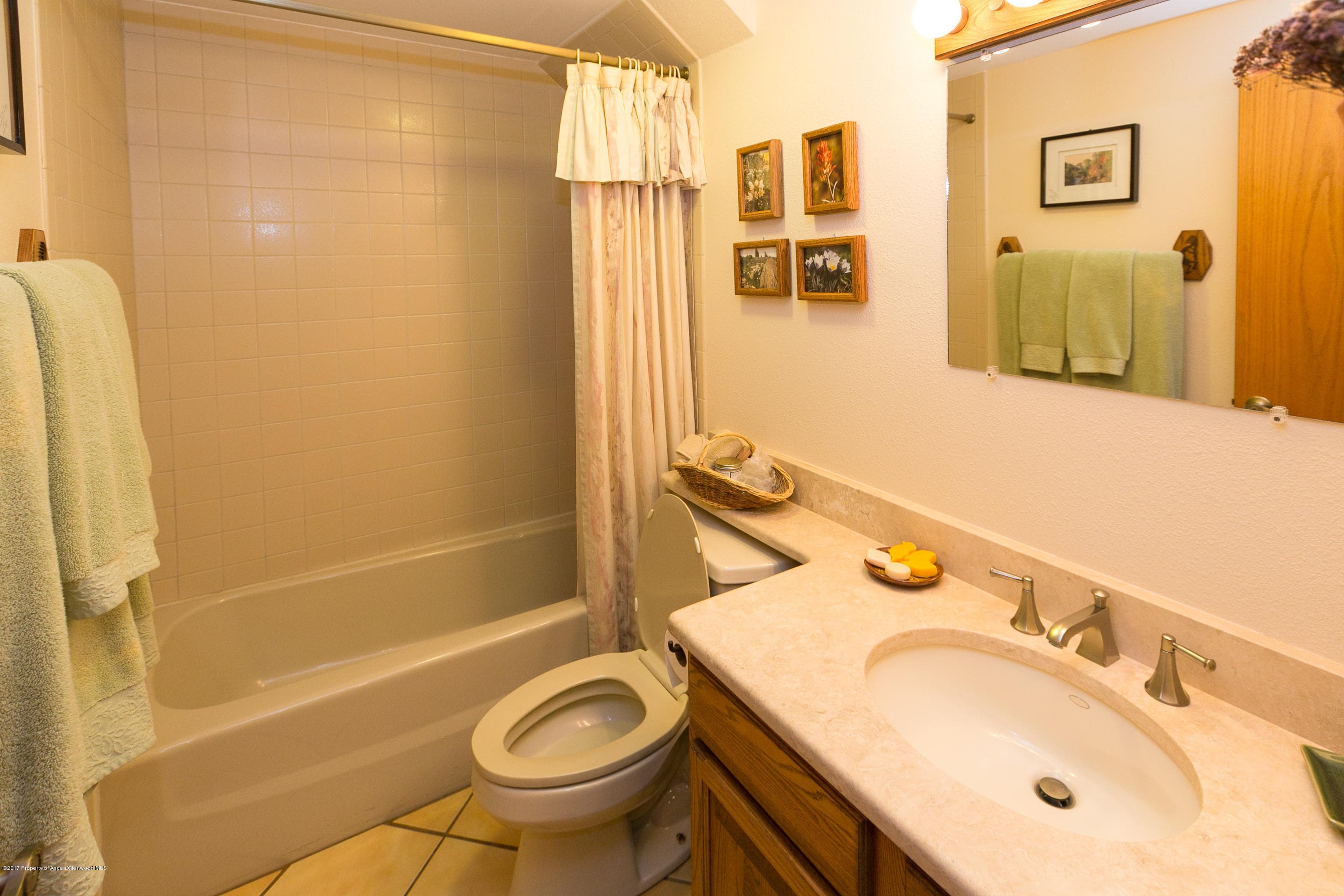 453 Lions Ridge Road, Carbondale, CO 81623 - Photo 35