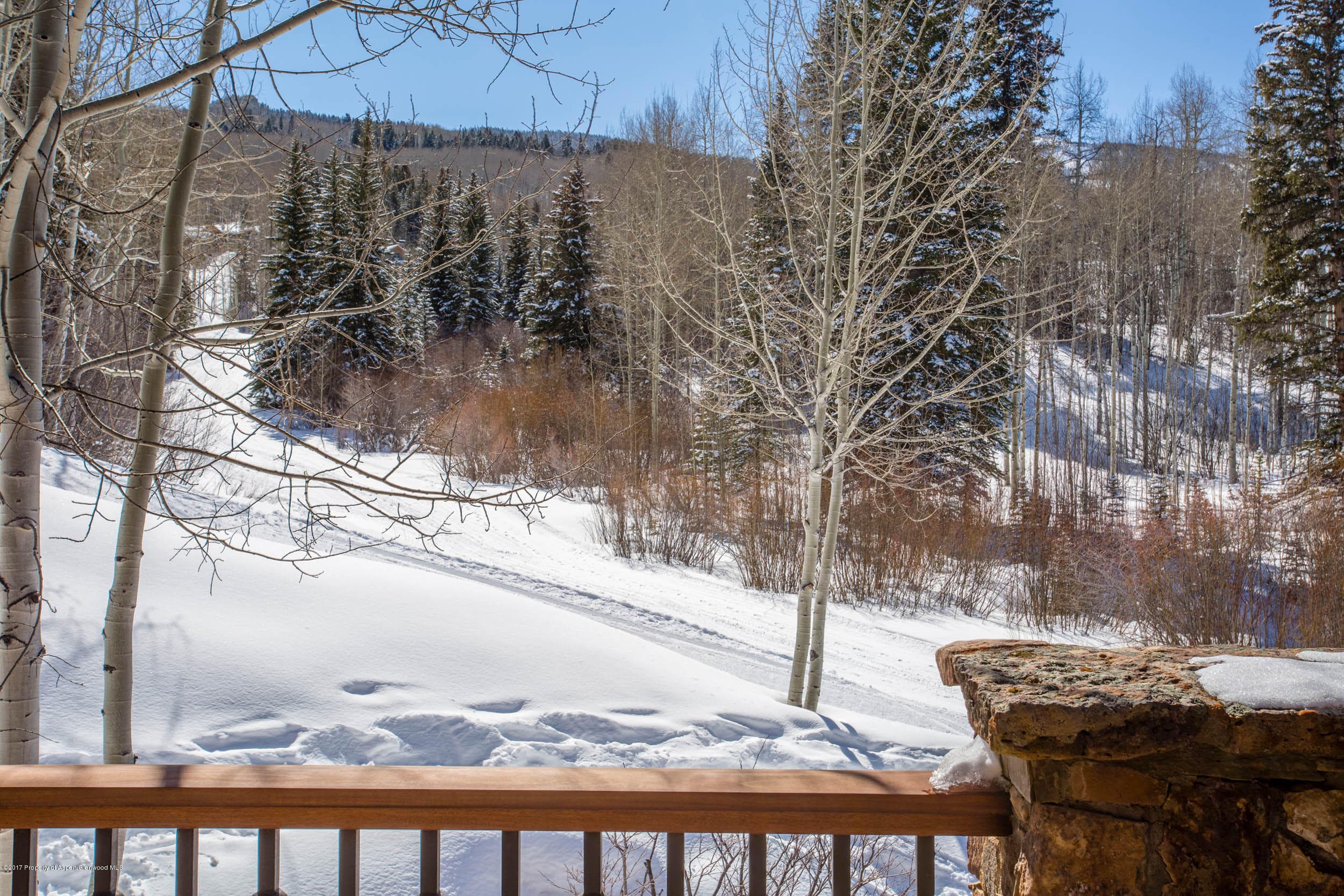 0381 Pine Crest Drive Pines Lot #47, Snowmass Village, CO 81615 - Photo 7