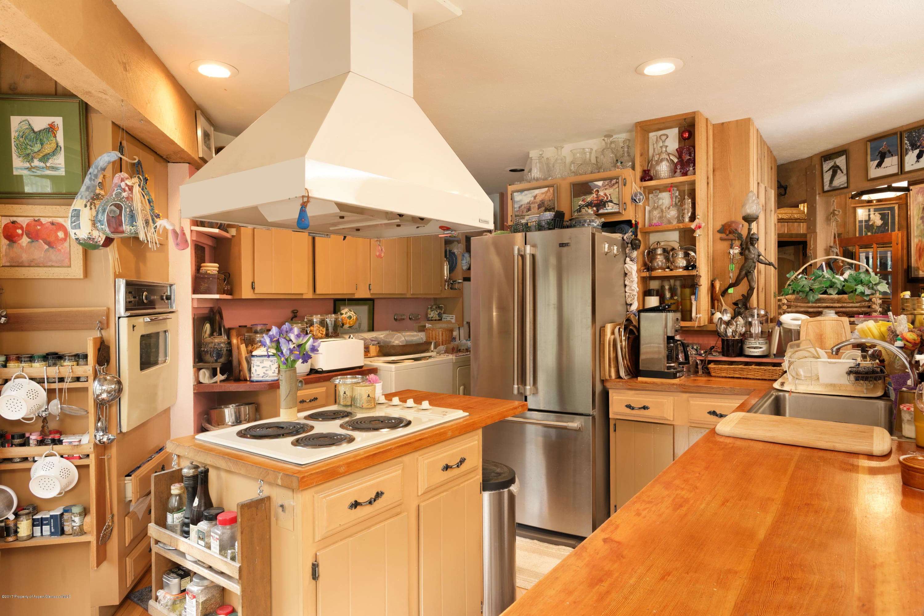 295 Maple Ridge Ln, Snowmass Village, CO 81615 - Photo 12