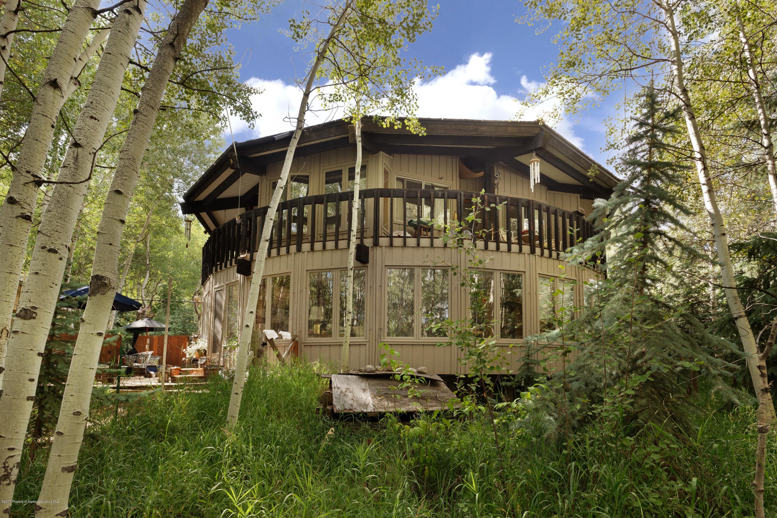 295 Maple Ridge Ln, Snowmass Village, CO 81615 - Photo 1