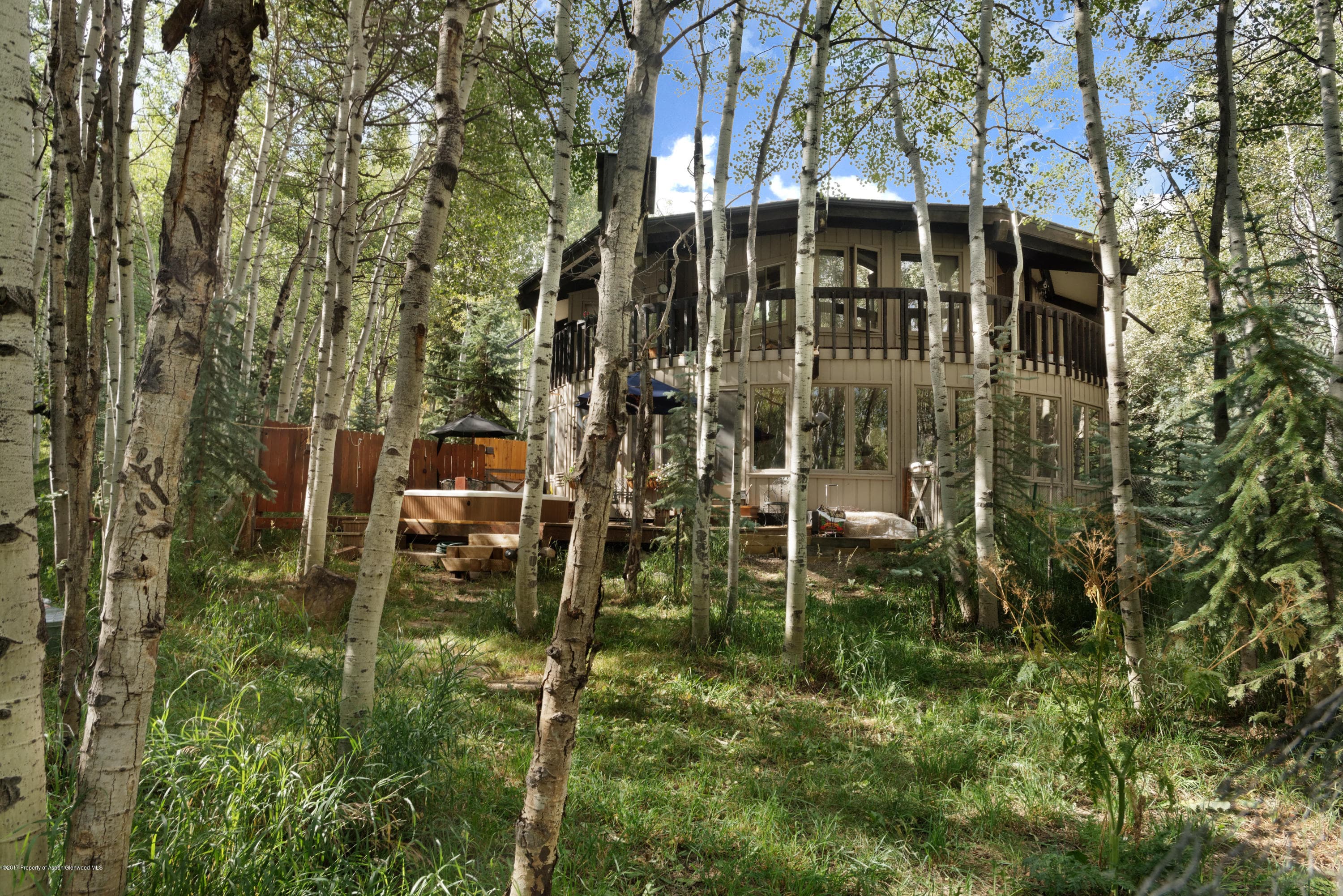 295 Maple Ridge Ln, Snowmass Village, CO 81615 - Photo 2