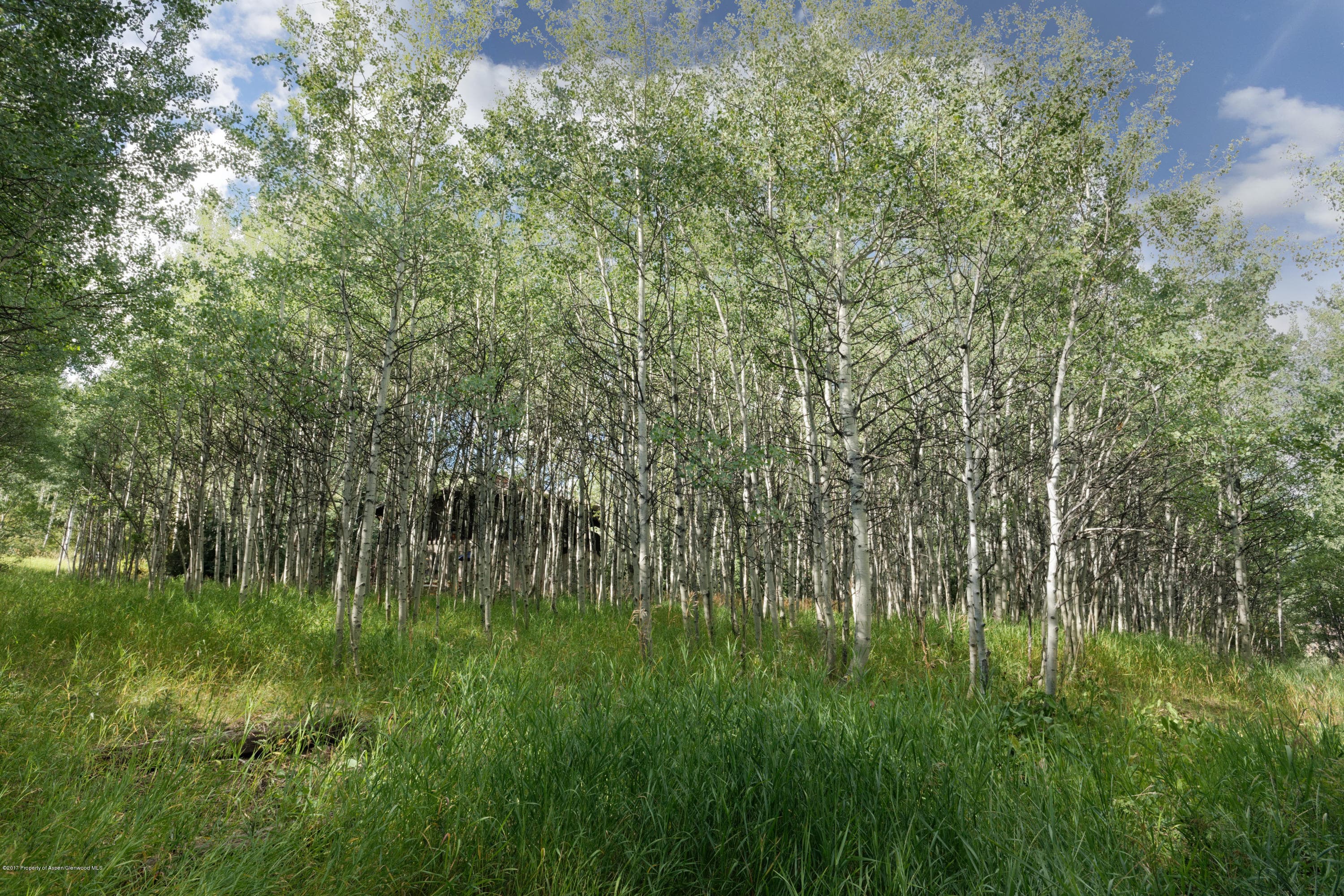 295 Maple Ridge Ln, Snowmass Village, CO 81615 - Photo 3