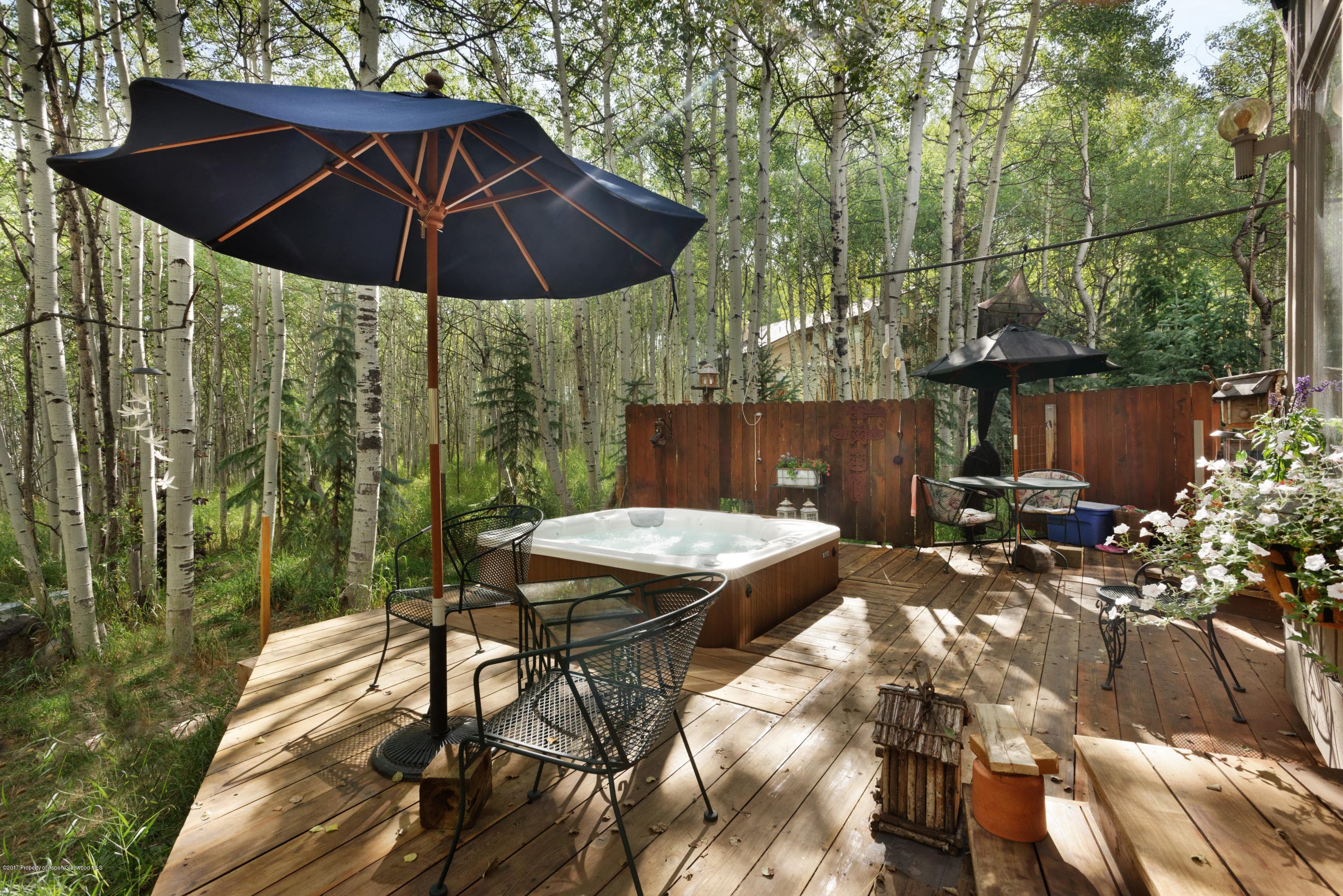 295 Maple Ridge Ln, Snowmass Village, CO 81615 - Photo 25