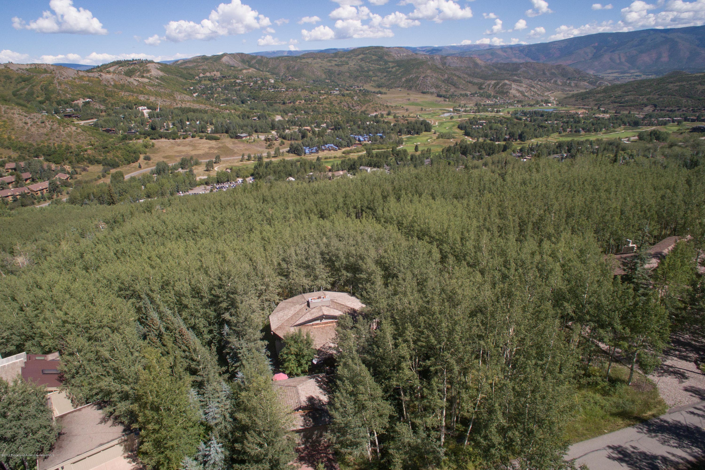 295 Maple Ridge Ln, Snowmass Village, CO 81615 - Photo 28