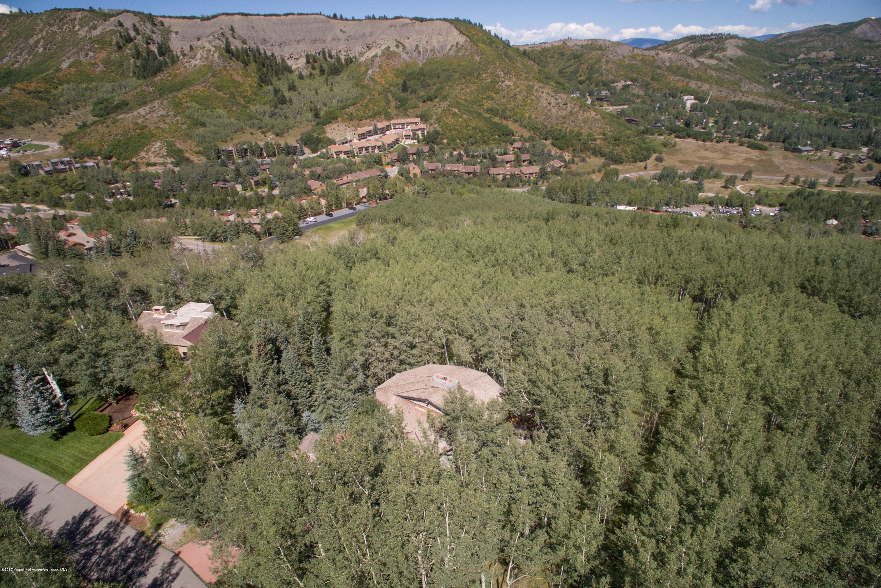 295 Maple Ridge Ln, Snowmass Village, CO 81615 - Photo 29