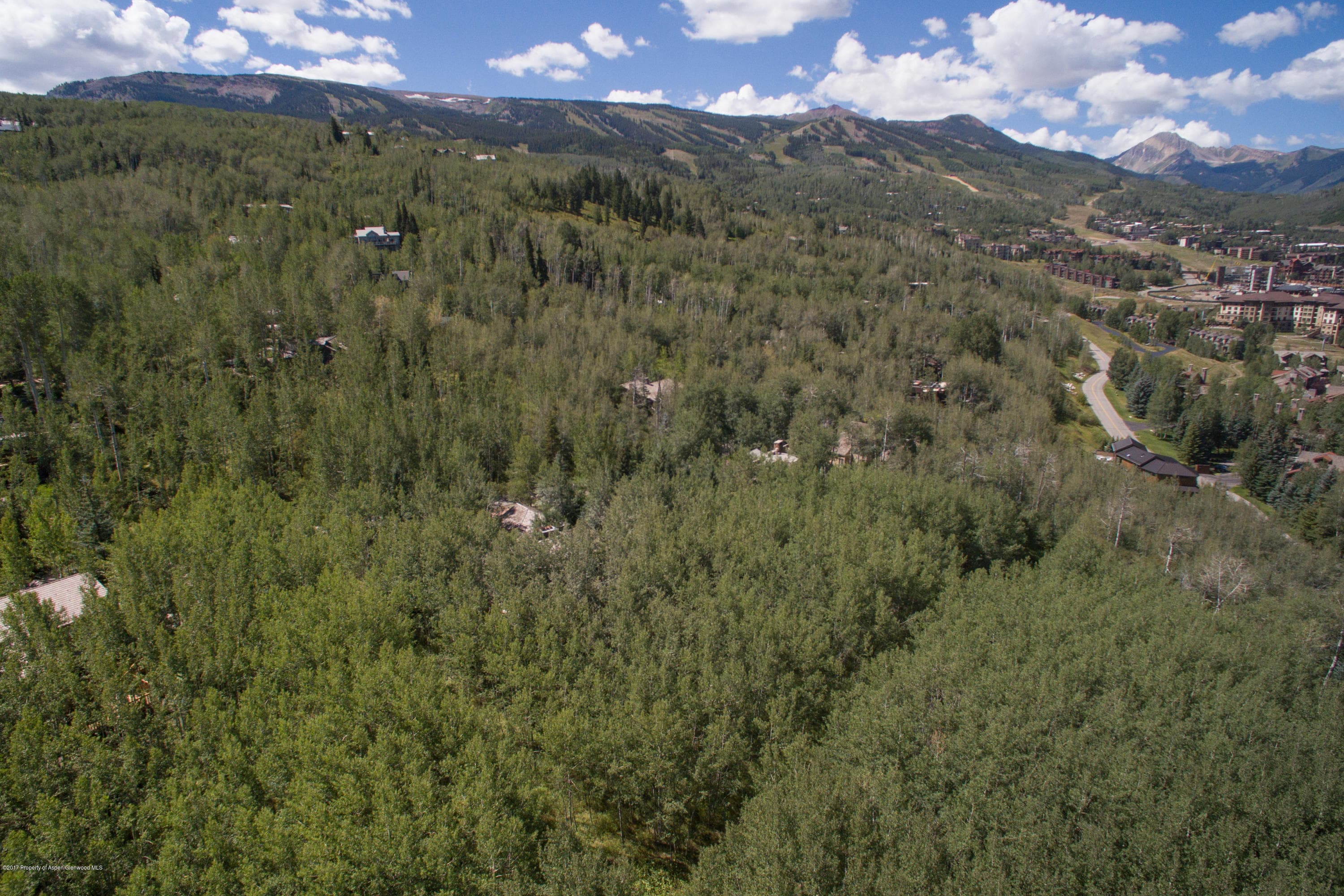 295 Maple Ridge Ln, Snowmass Village, CO 81615 - Photo 30