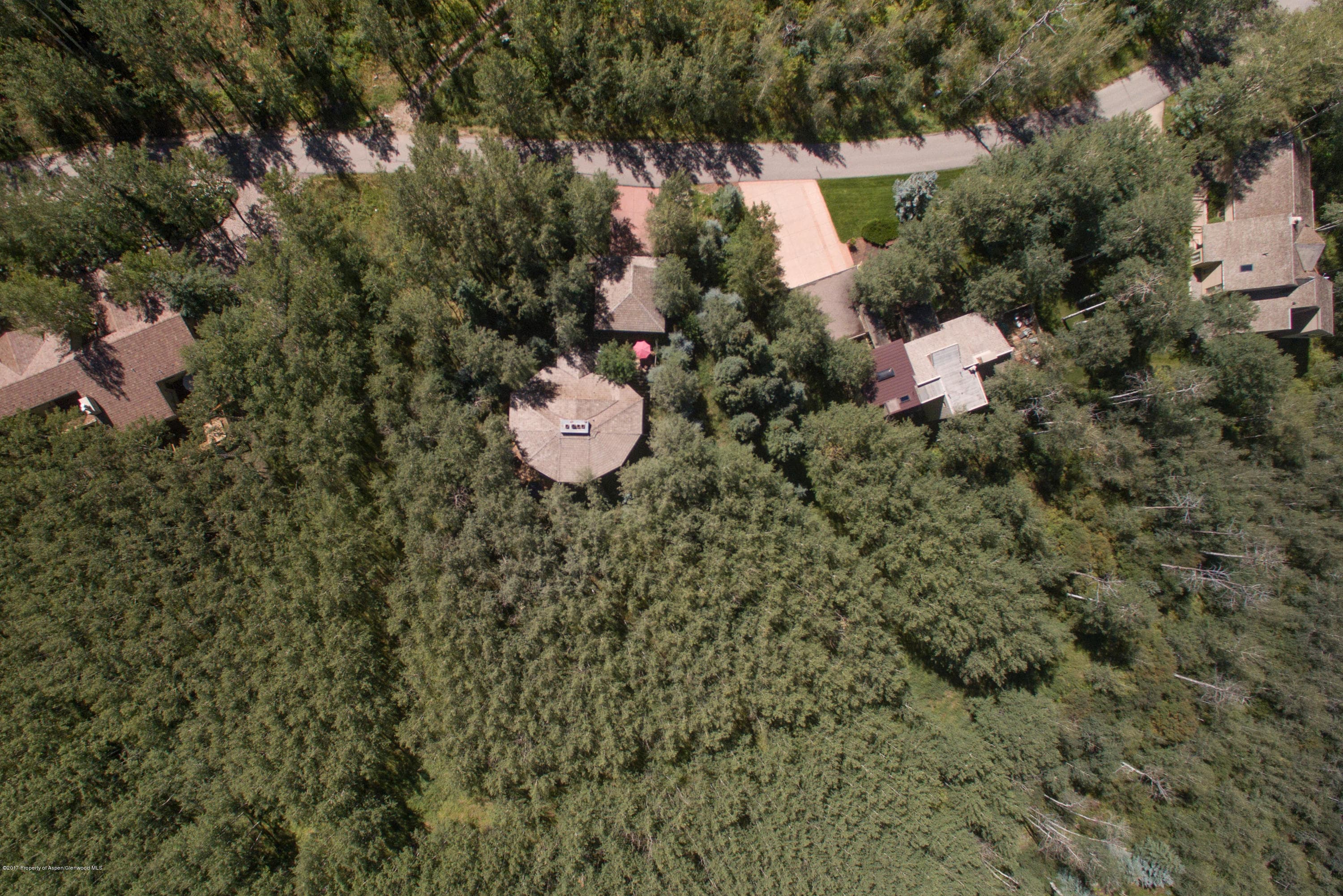295 Maple Ridge Ln, Snowmass Village, CO 81615 - Photo 31