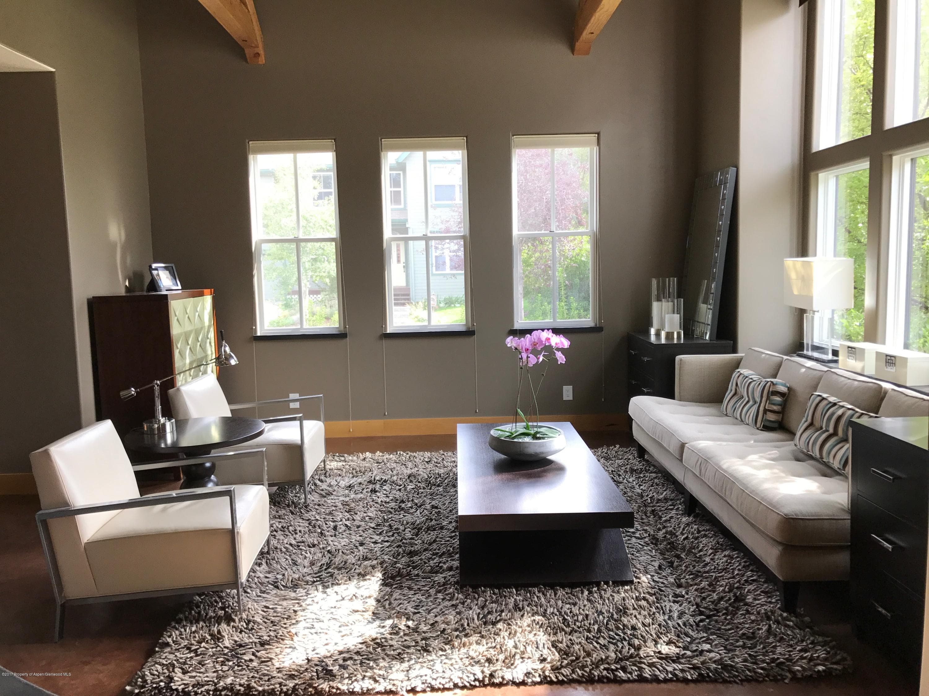 381 Sopris Circle, Basalt, CO 81621 - Photo 15