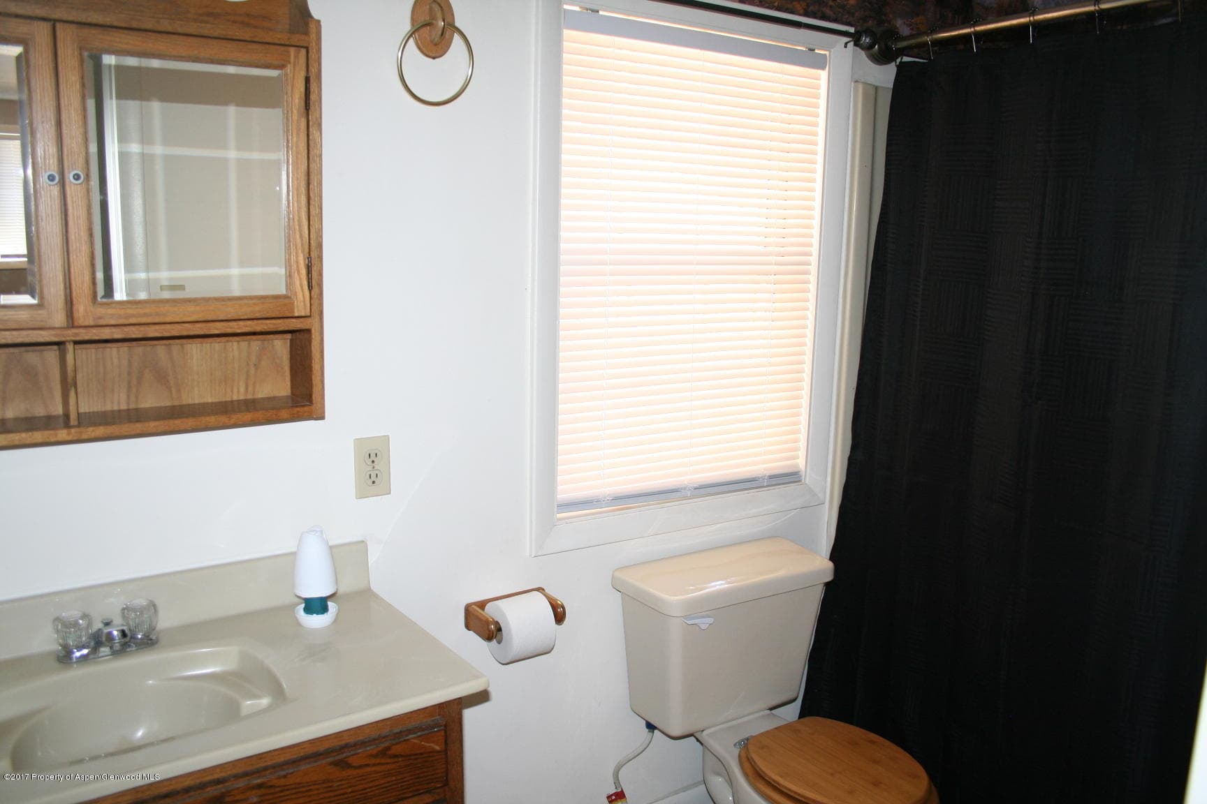 109 E 12th Street, Rifle, CO 81650 - Photo 8