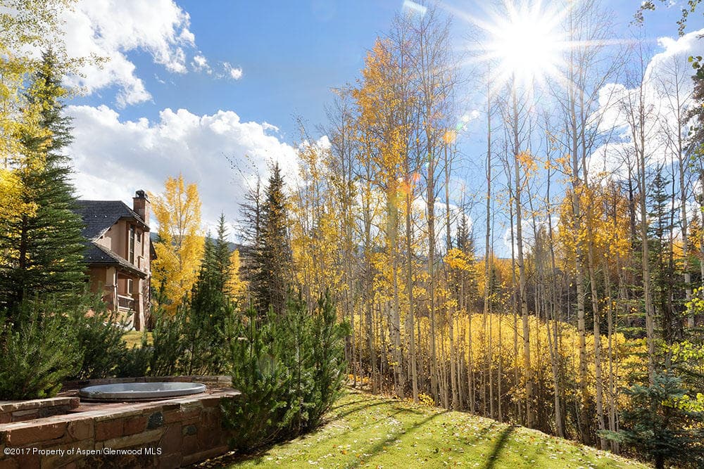 610 Streamside Court 31, Snowmass Village, CO 81615 - Photo 24