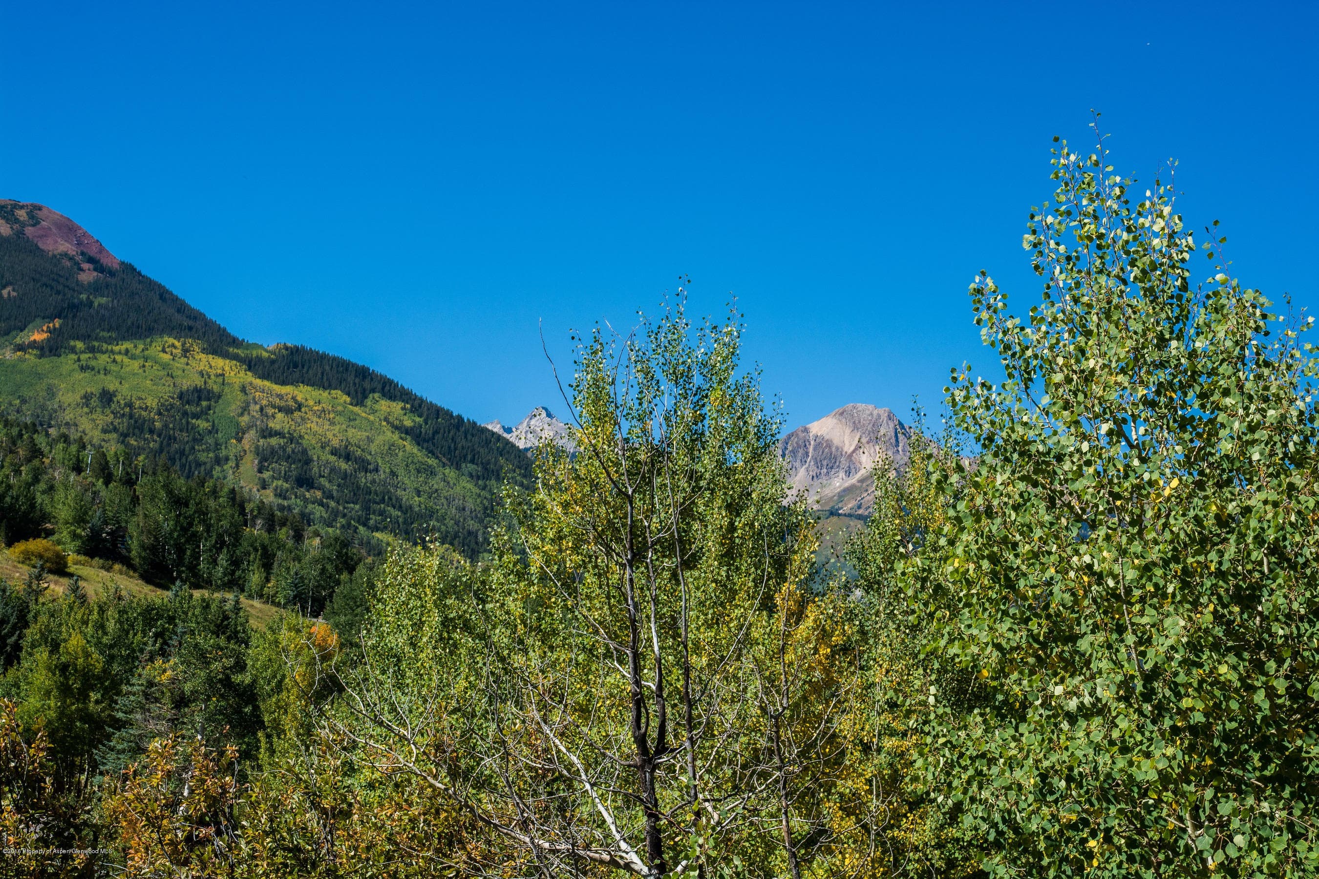 825 Divide Road, Snowmass Village, CO 81615 - Photo 3