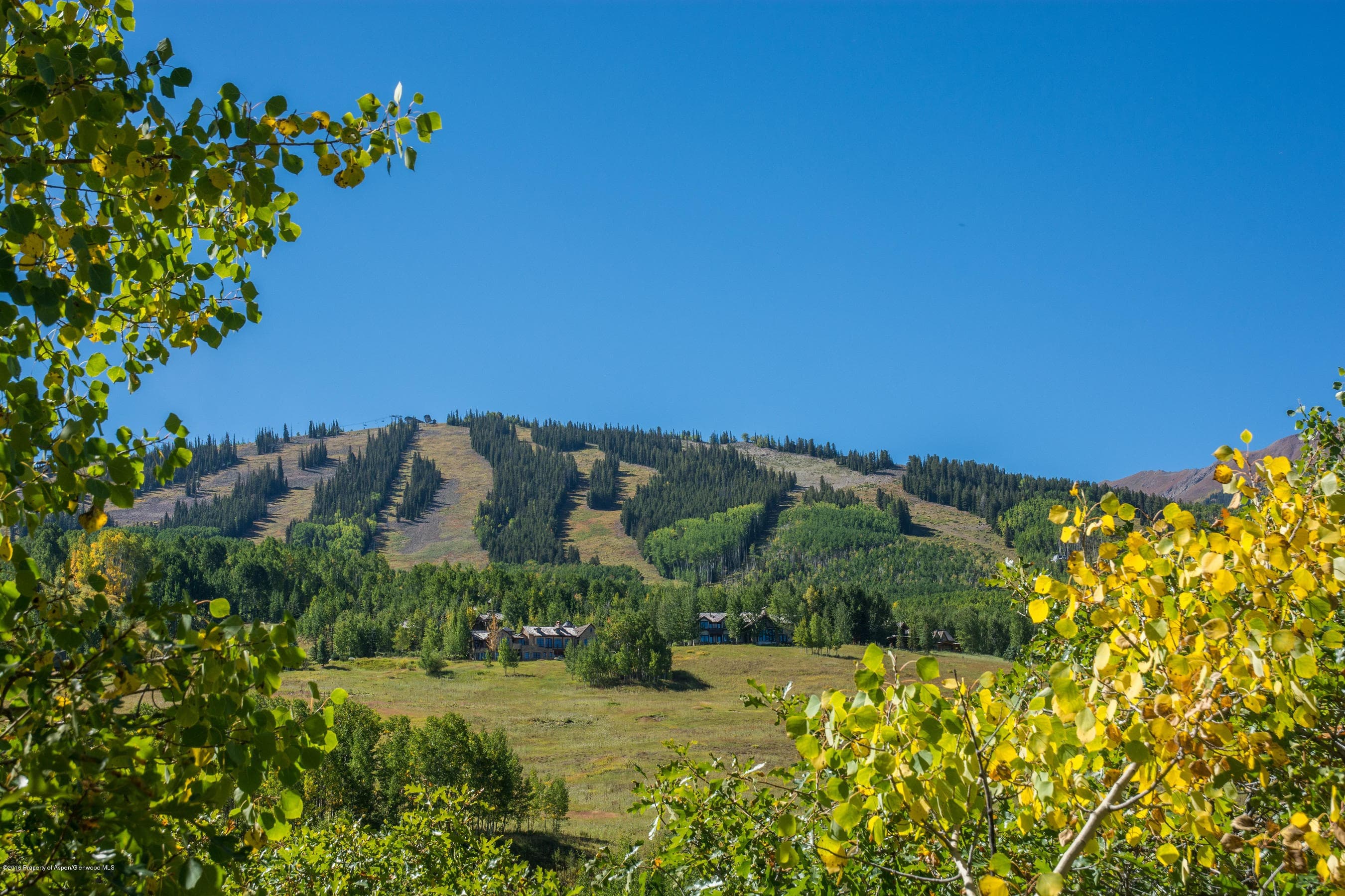 825 Divide Road, Snowmass Village, CO 81615 - Photo 5