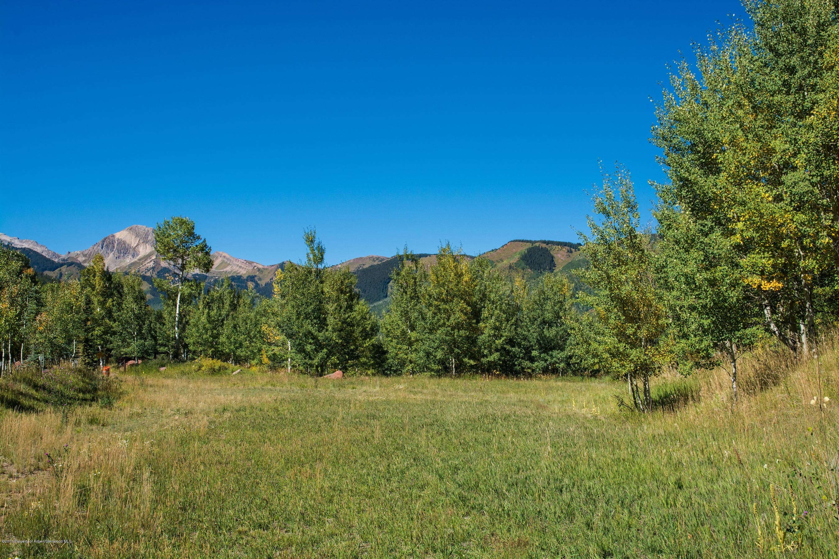 825 Divide Road, Snowmass Village, CO 81615 - Photo 11