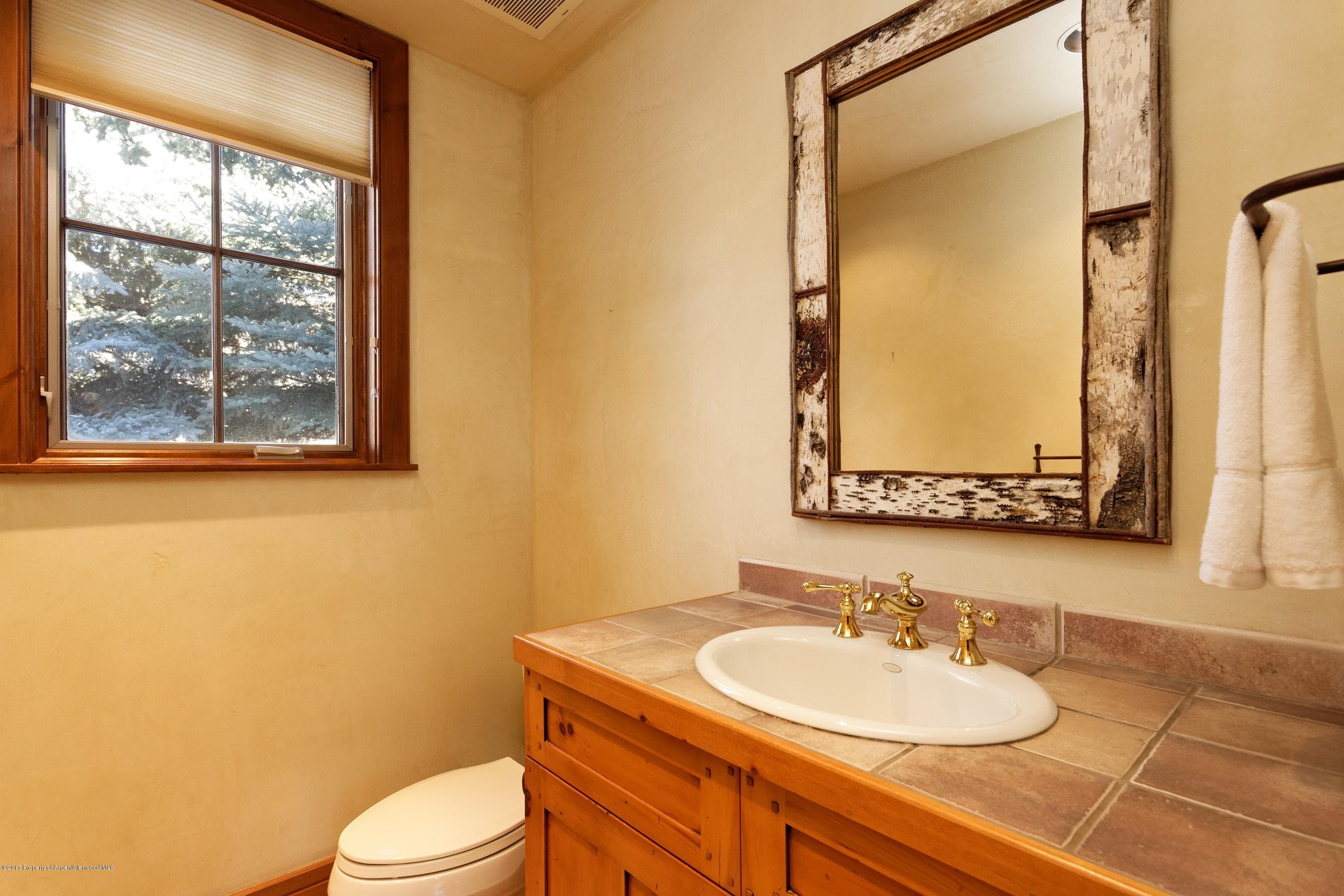 108 W Diamond A Ranch Road, Carbondale, CO 81623 - Photo 15