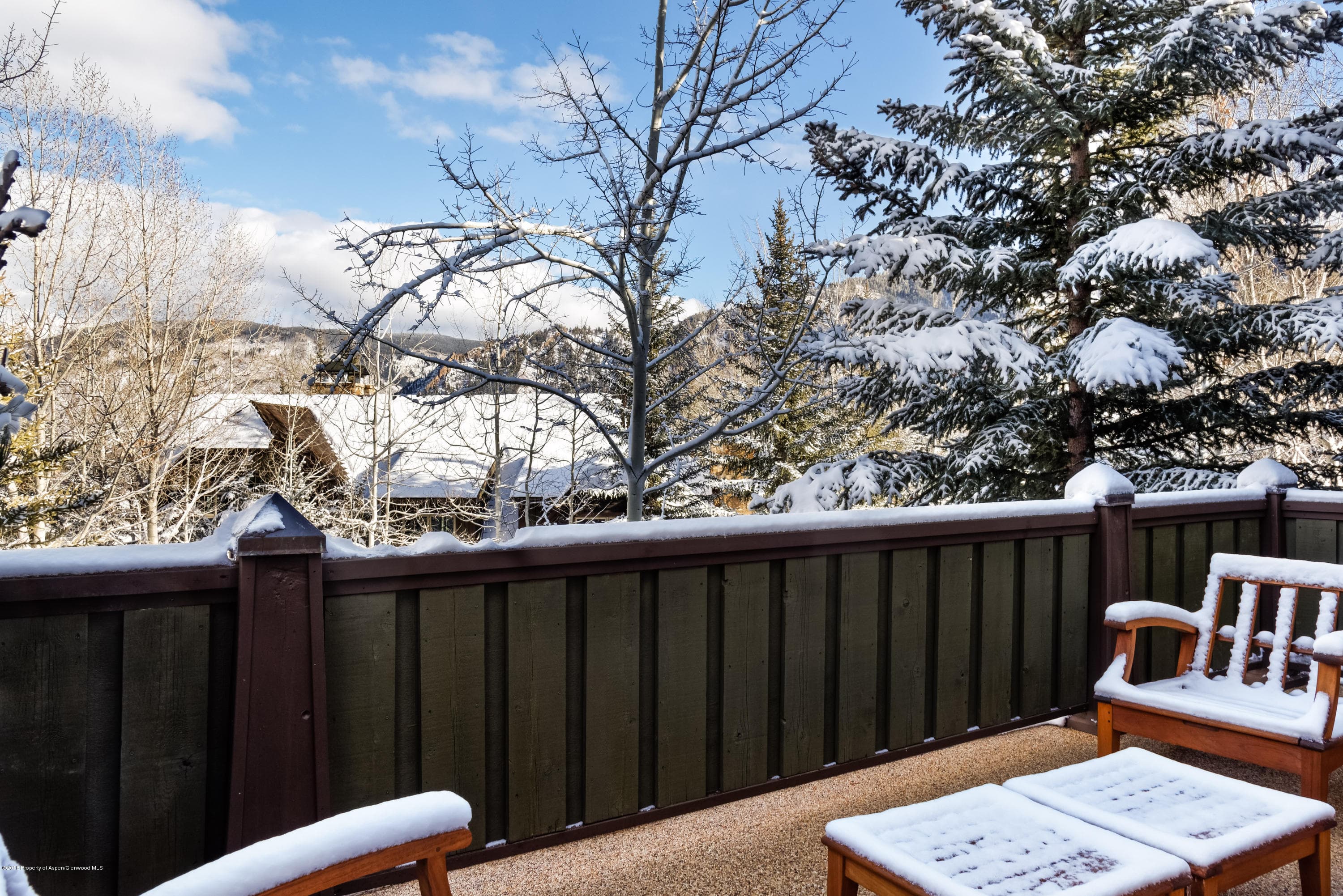 204 Oregon Trail, Aspen, CO 81611 - Photo 33