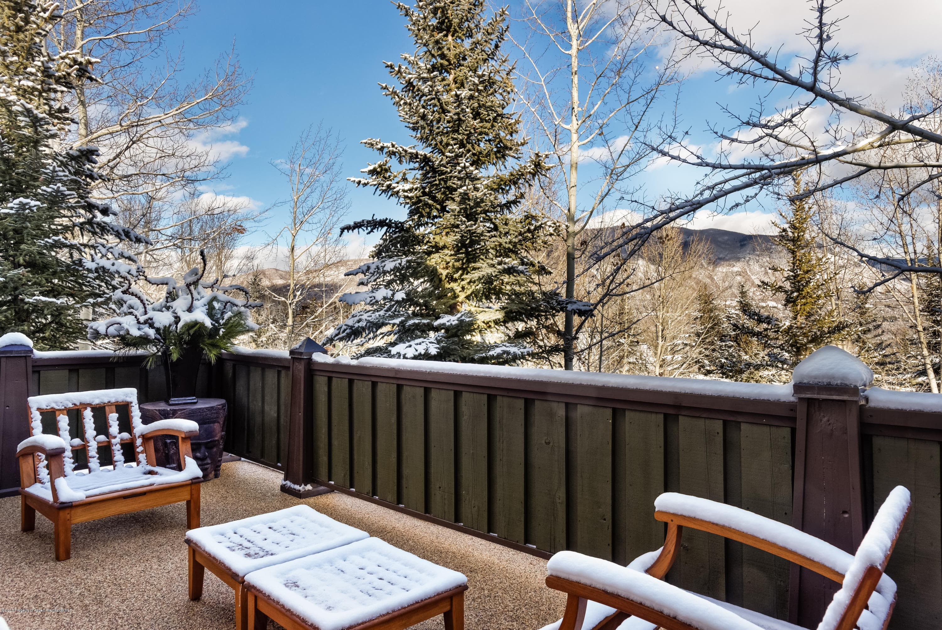 204 Oregon Trail, Aspen, CO 81611 - Photo 28