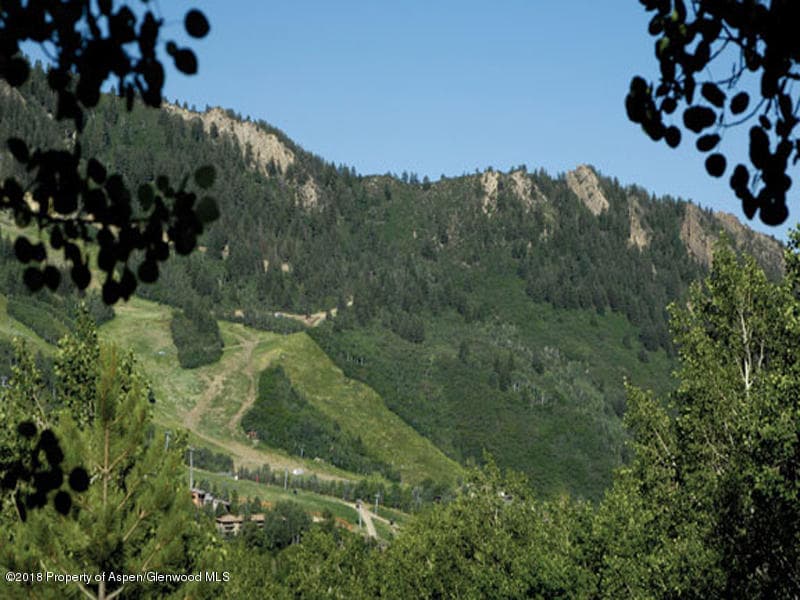 TBD McSkimming Road, Aspen, CO 81611