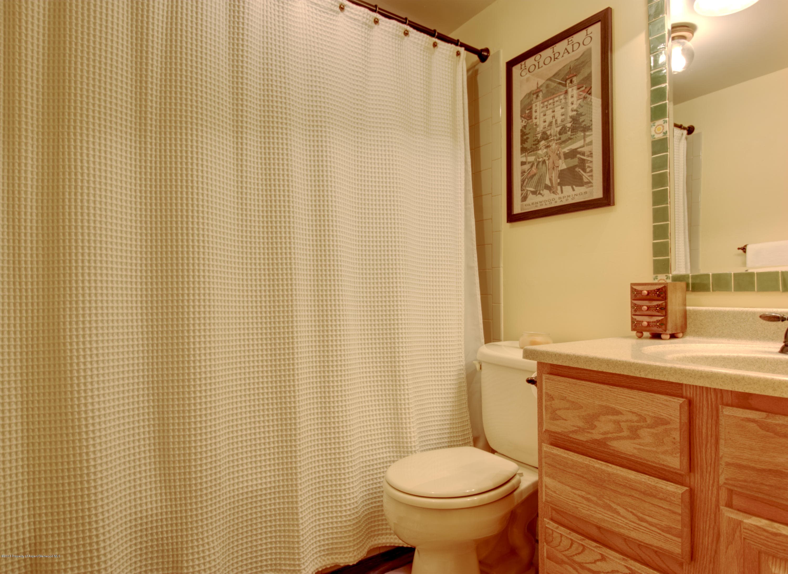 68 Marble Court, Carbondale, CO 81623 - Photo 20