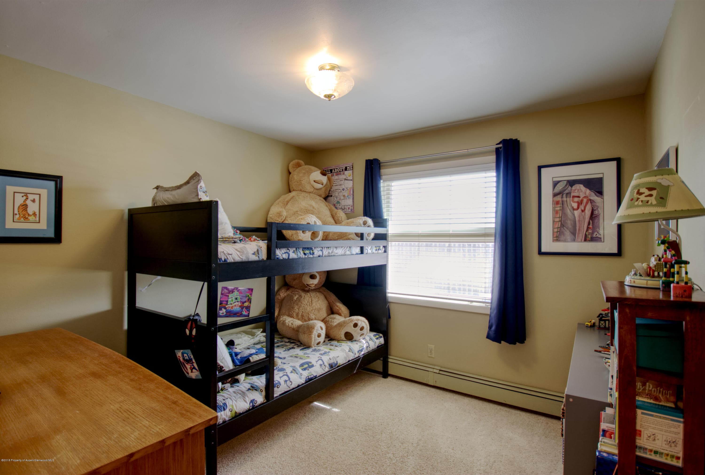 68 Marble Court, Carbondale, CO 81623 - Photo 19