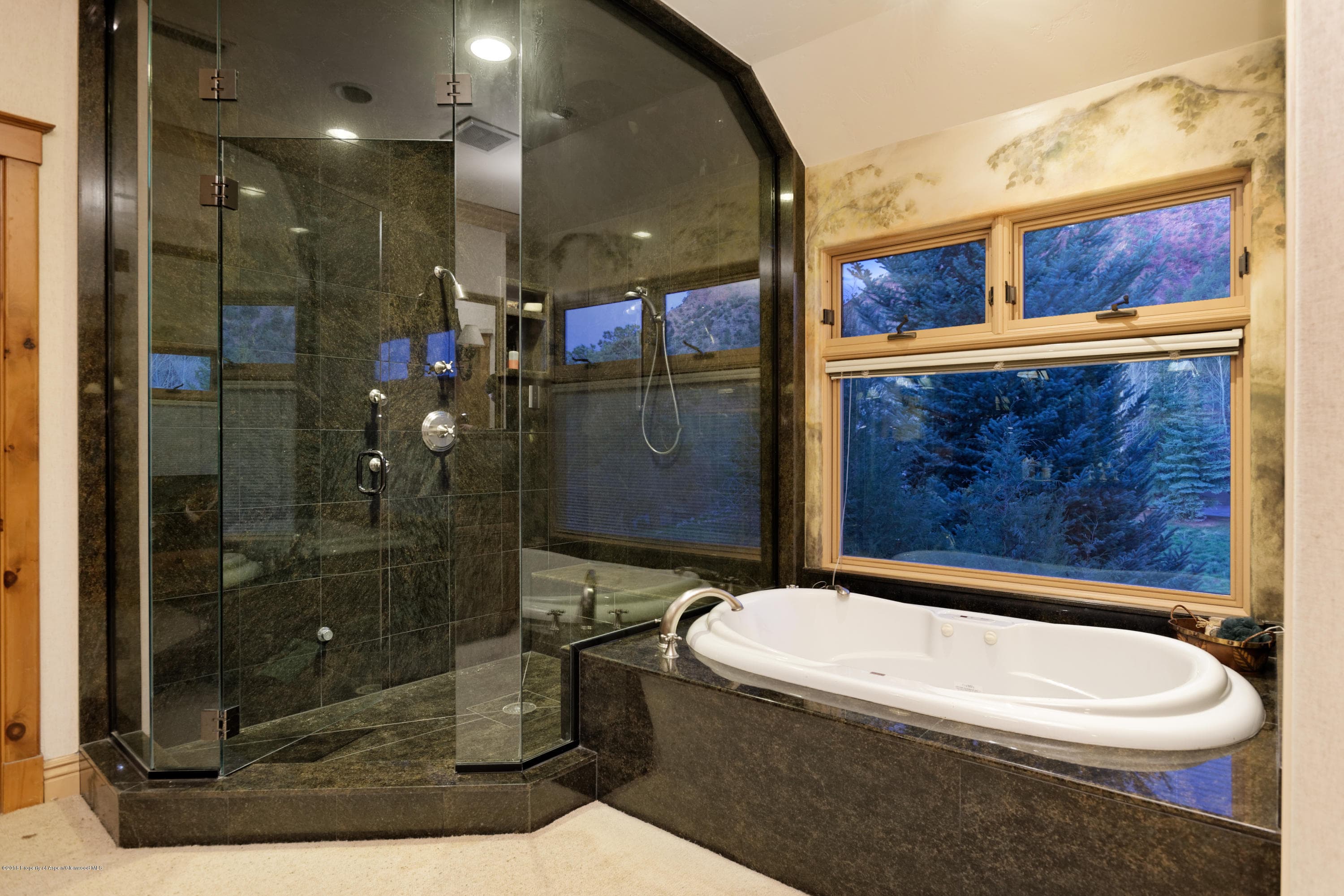 62 A Alpen Glo Lane, Carbondale, CO 81623 - Photo 29