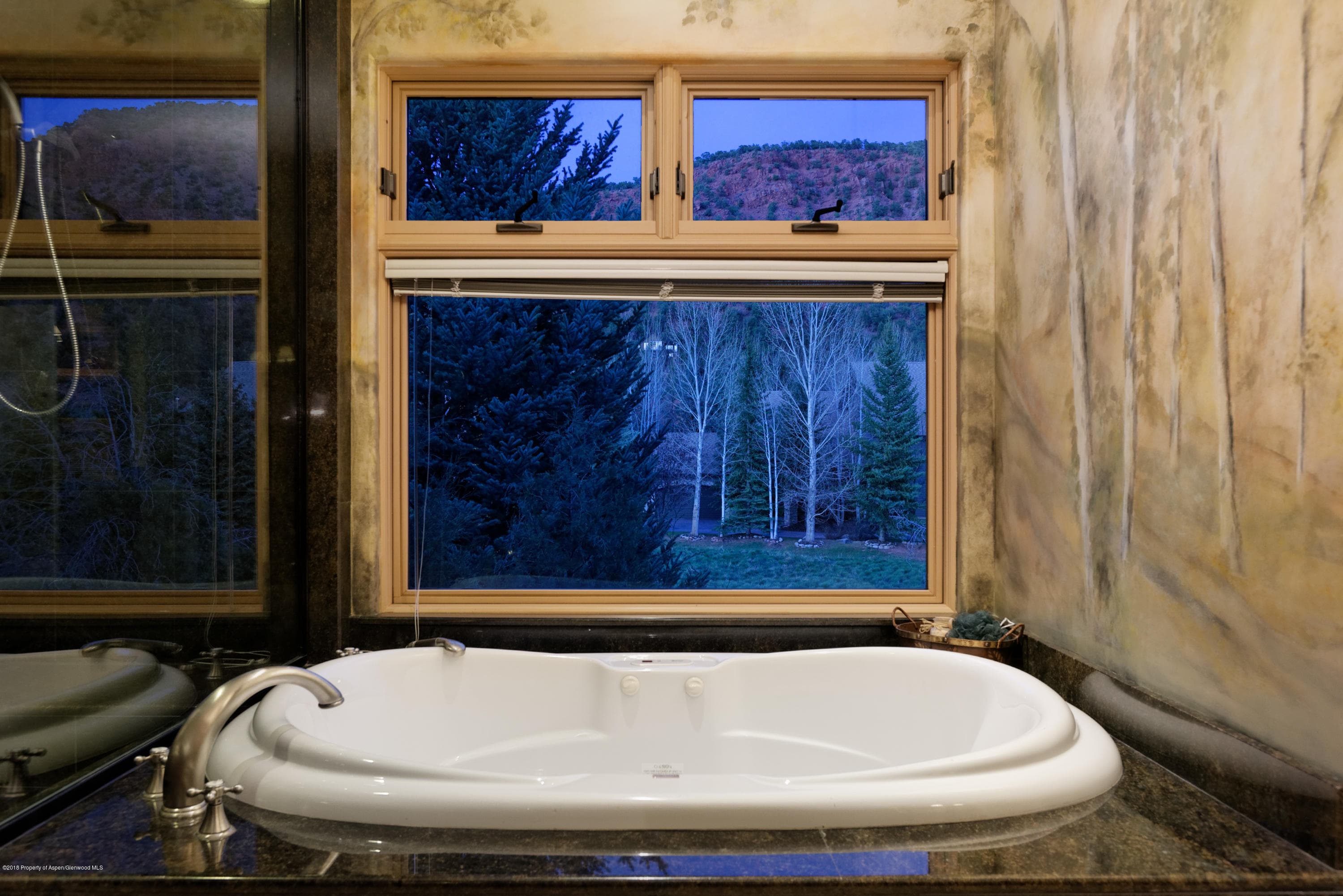 62 A Alpen Glo Lane, Carbondale, CO 81623 - Photo 30