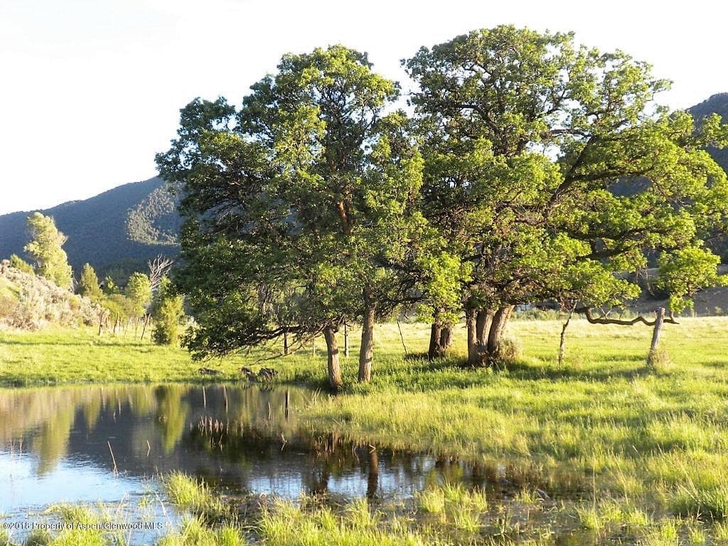 TBD Highway 82, Carbondale, CO 81623 - Photo 12