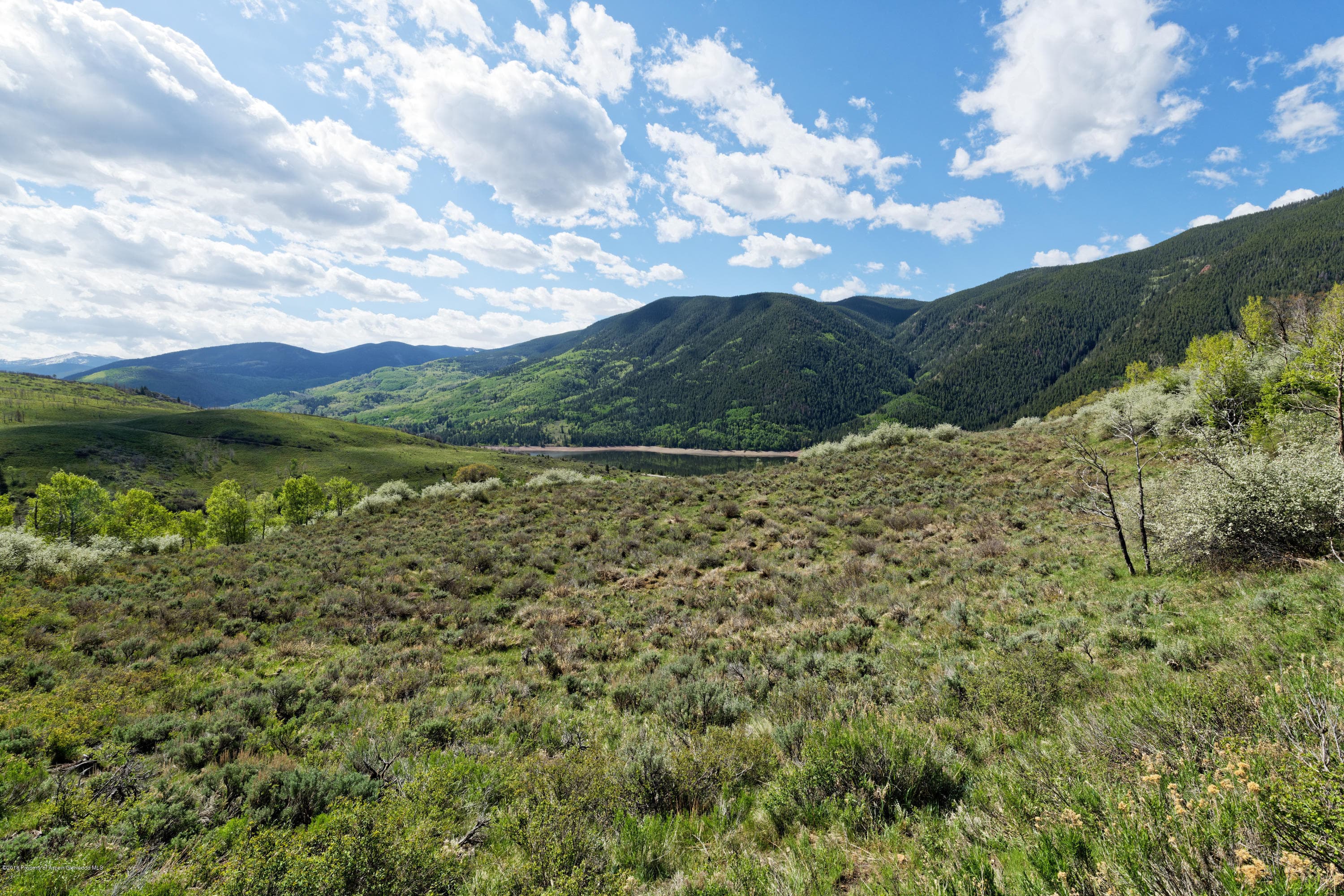 TBD Frying Pan Road, Basalt, CO 81621 - Photo 13