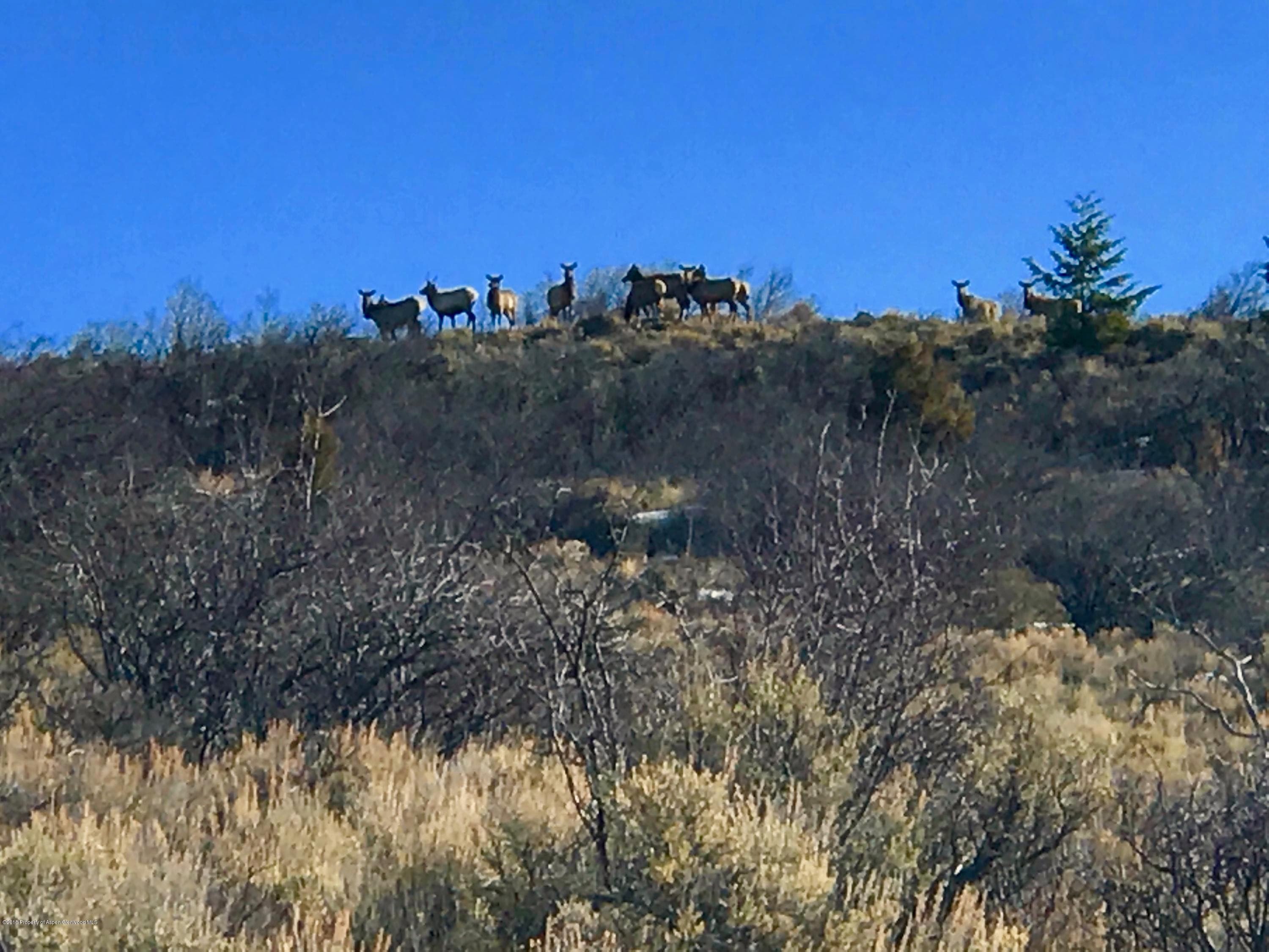 TBD Frying Pan Road, Basalt, CO 81621 - Photo 25