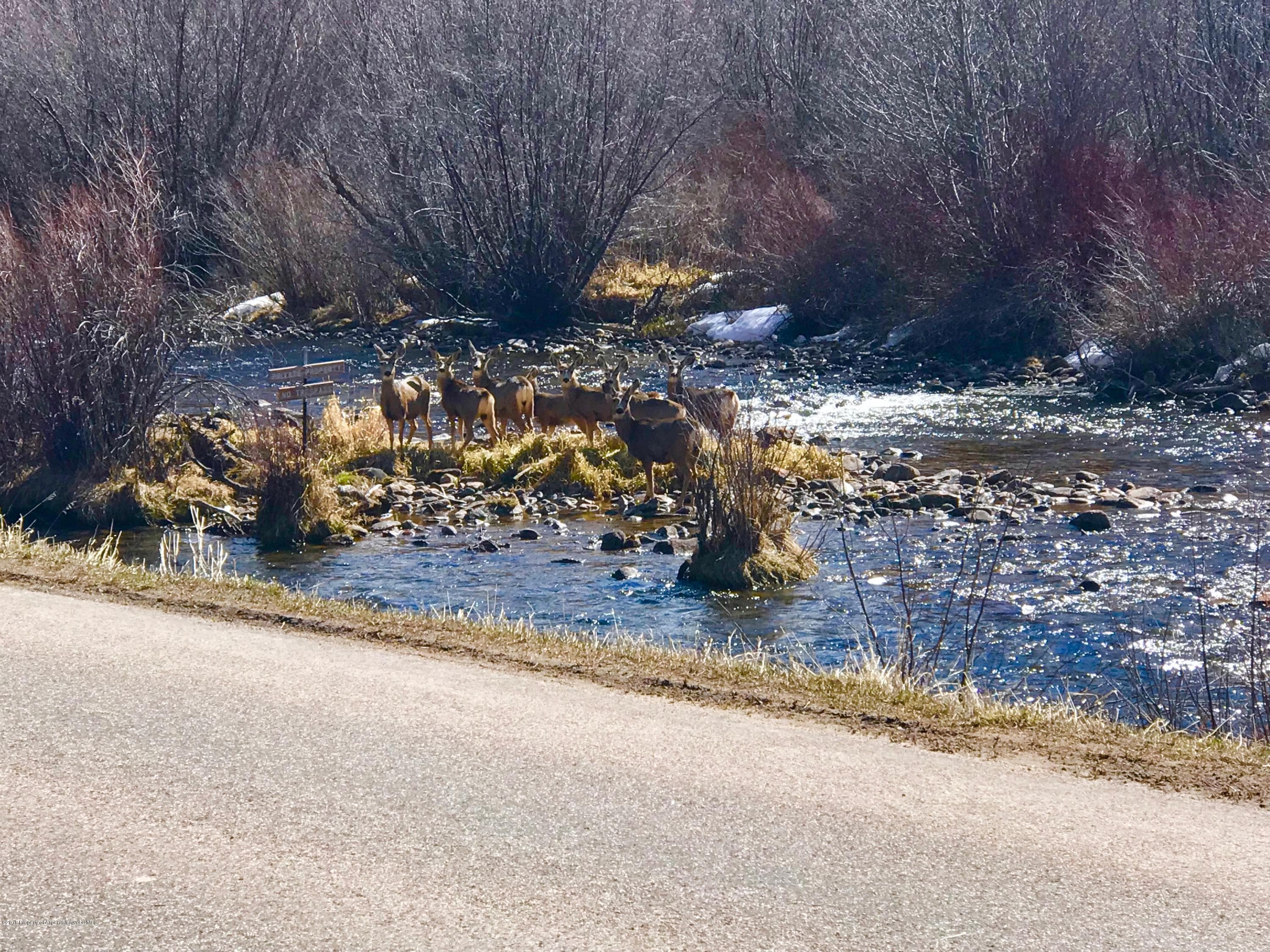 TBD Frying Pan Road, Basalt, CO 81621 - Photo 26