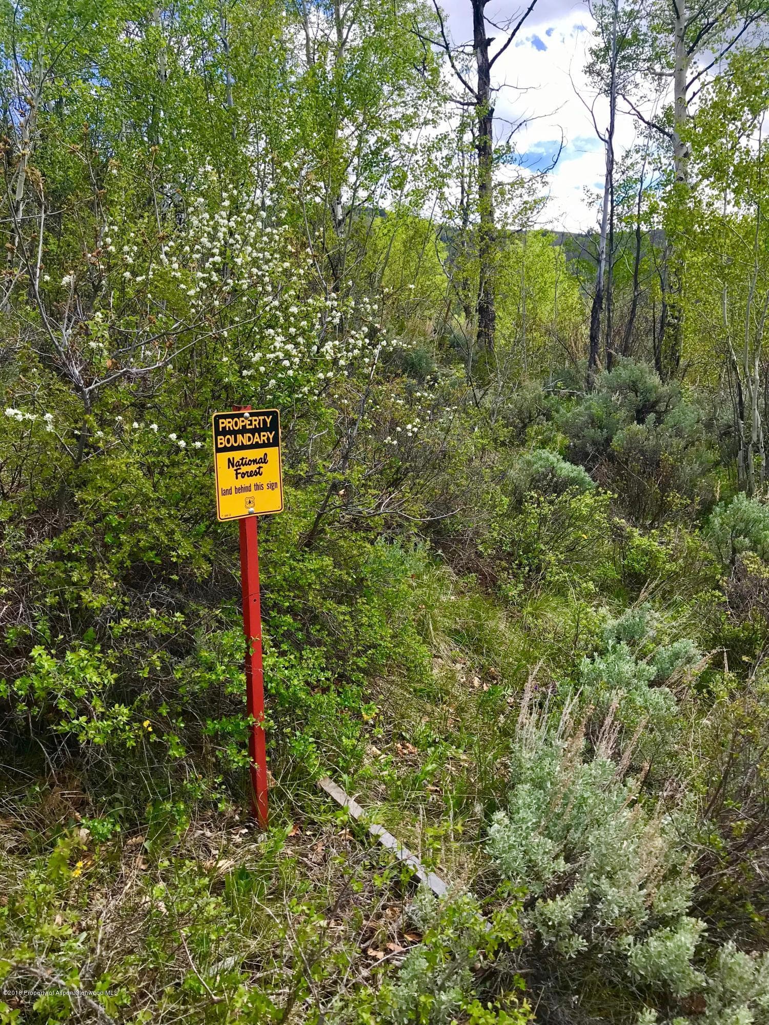 TBD Frying Pan Road, Basalt, CO 81621 - Photo 27