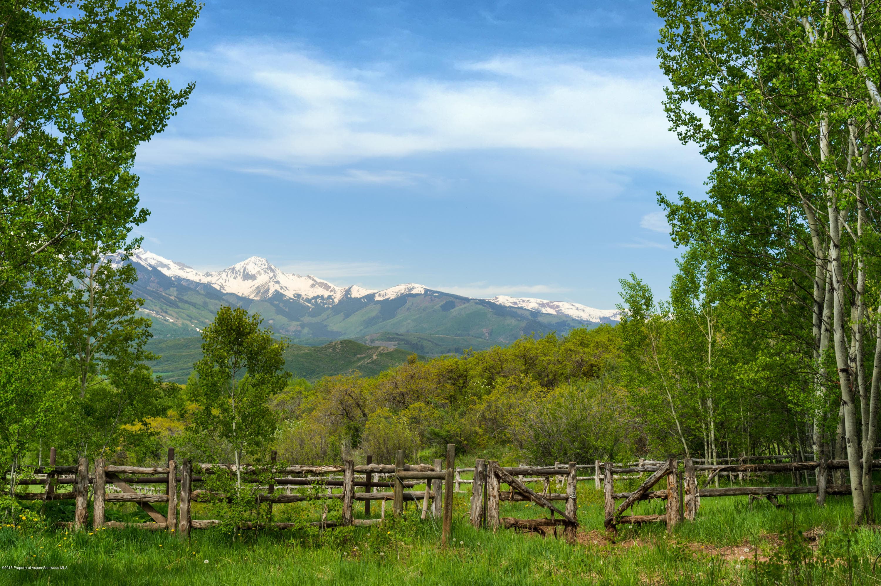 TBD Carroll Drive, Aspen, CO 81611 - Photo 4