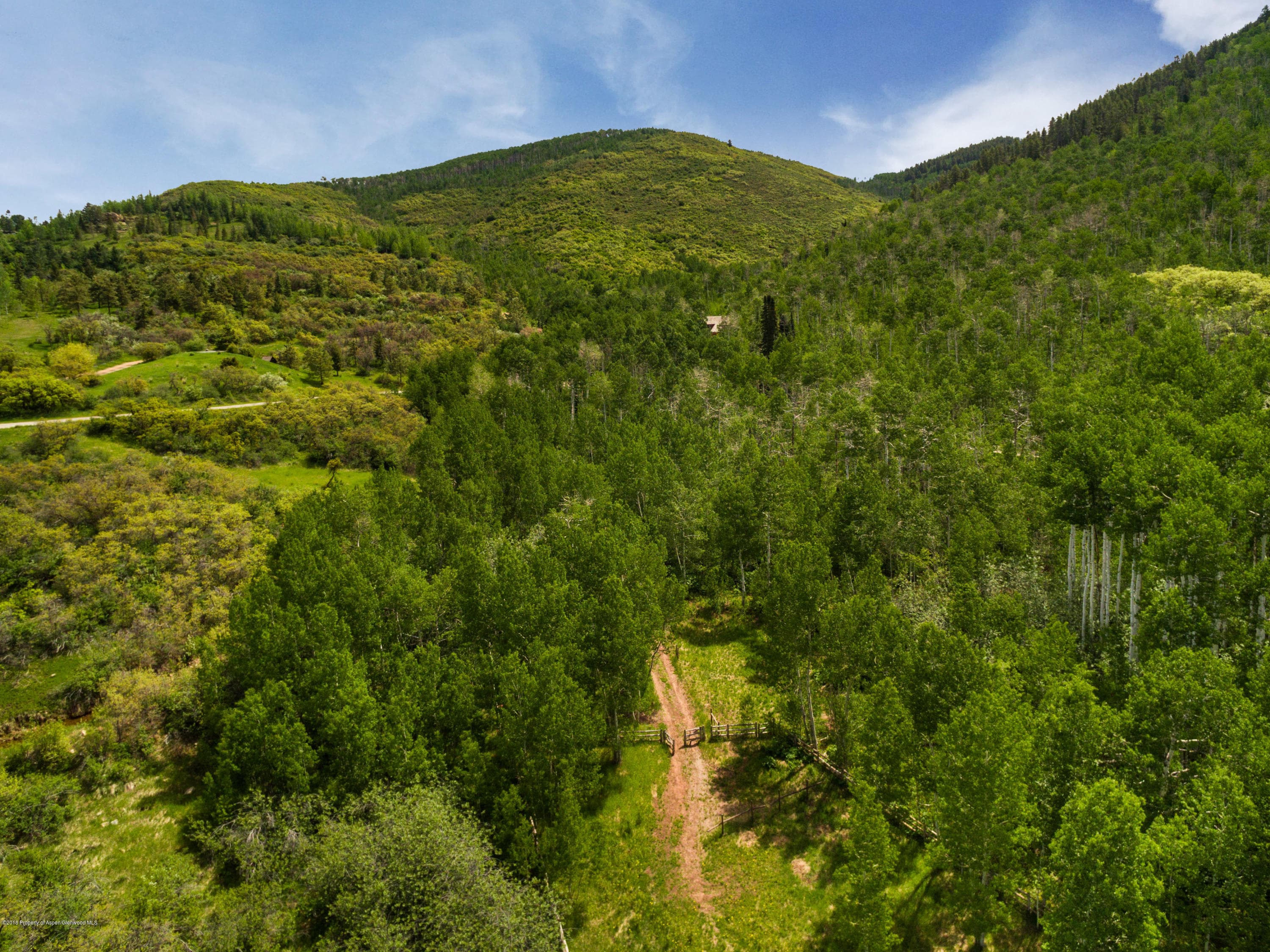 TBD Carroll Drive, Aspen, CO 81611 - Photo 7