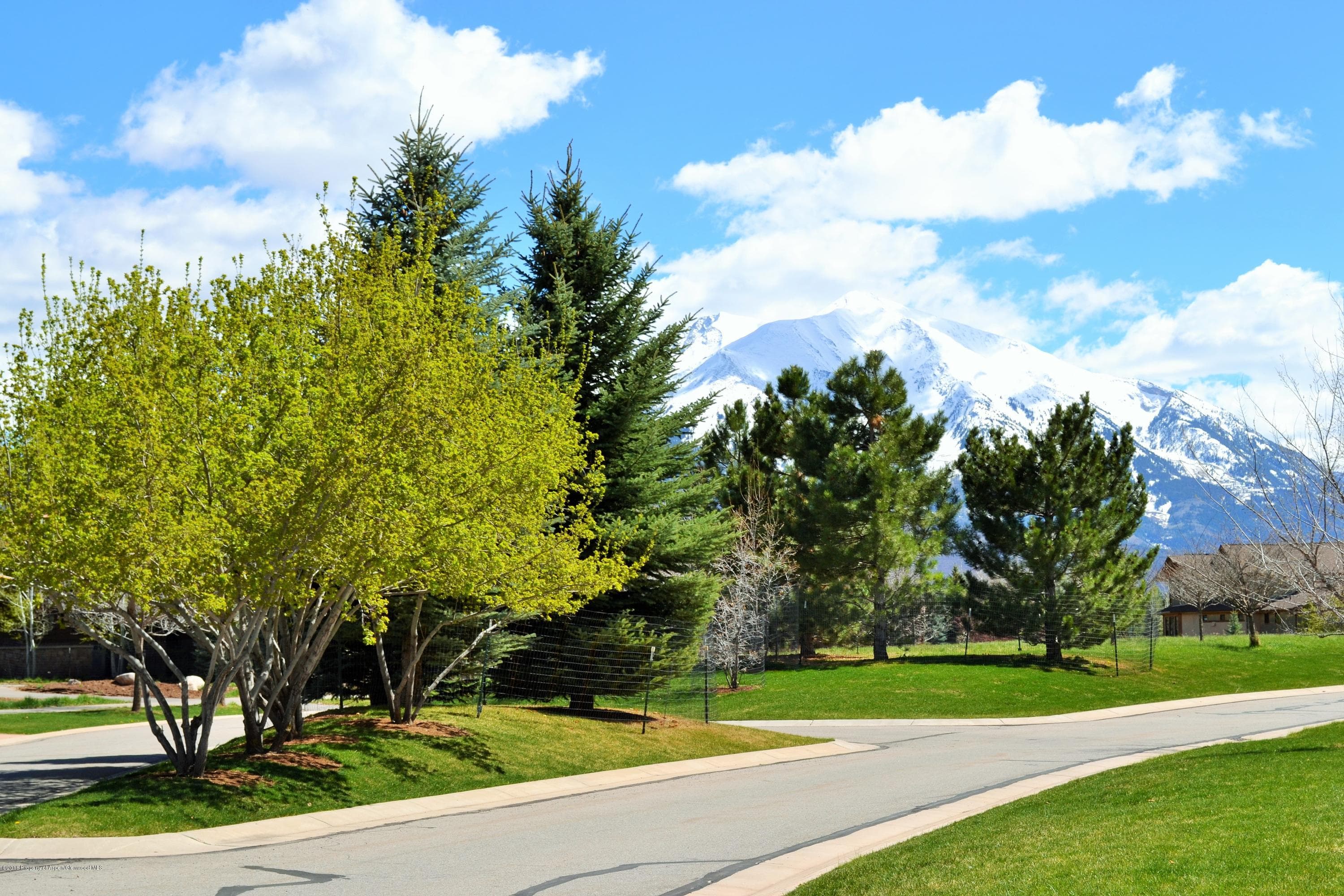 665 North Bridge Drive, Carbondale, CO 81623 - Photo 12