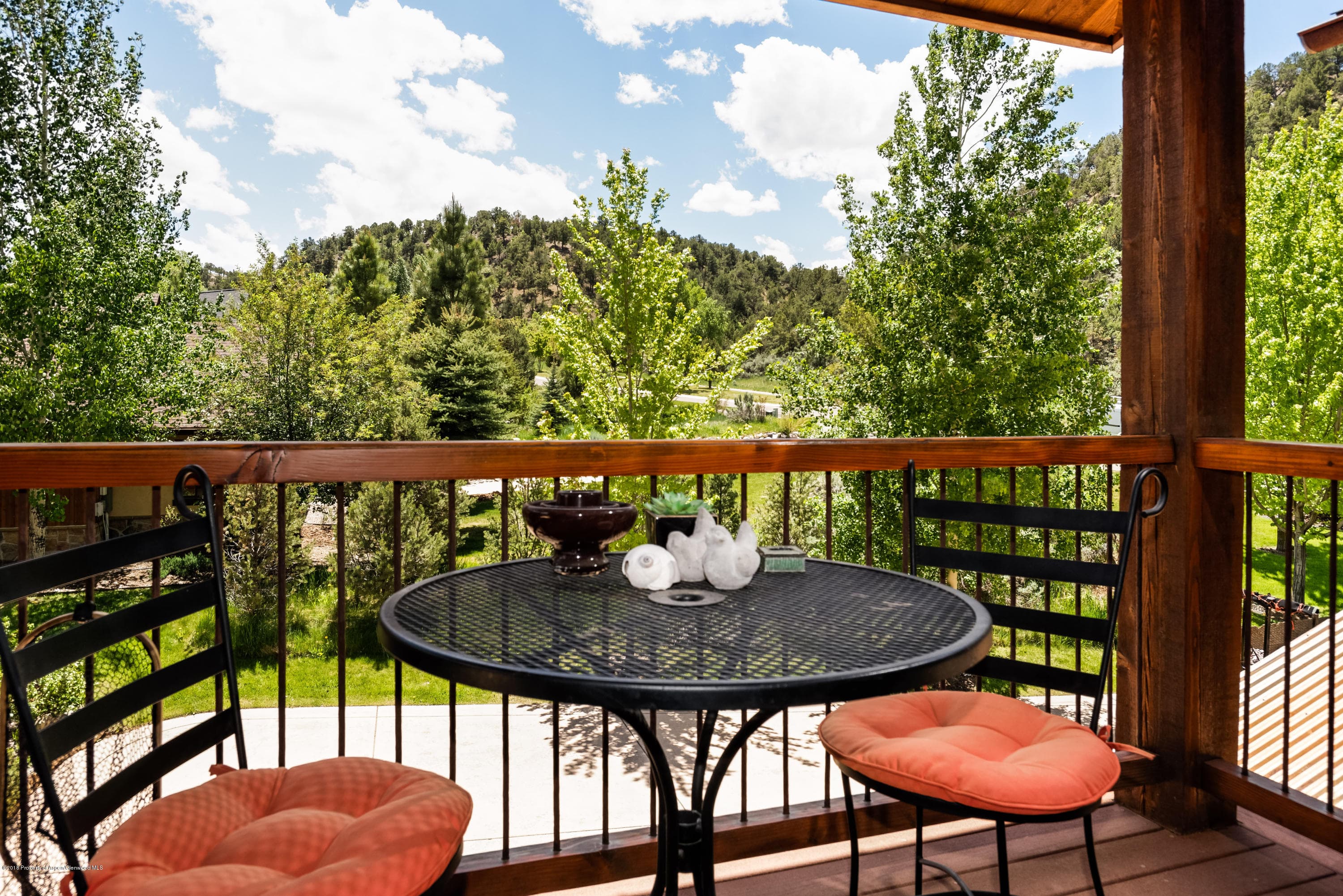 3976 Crystal Bridge Drive, Carbondale, CO 81623 - Photo 9
