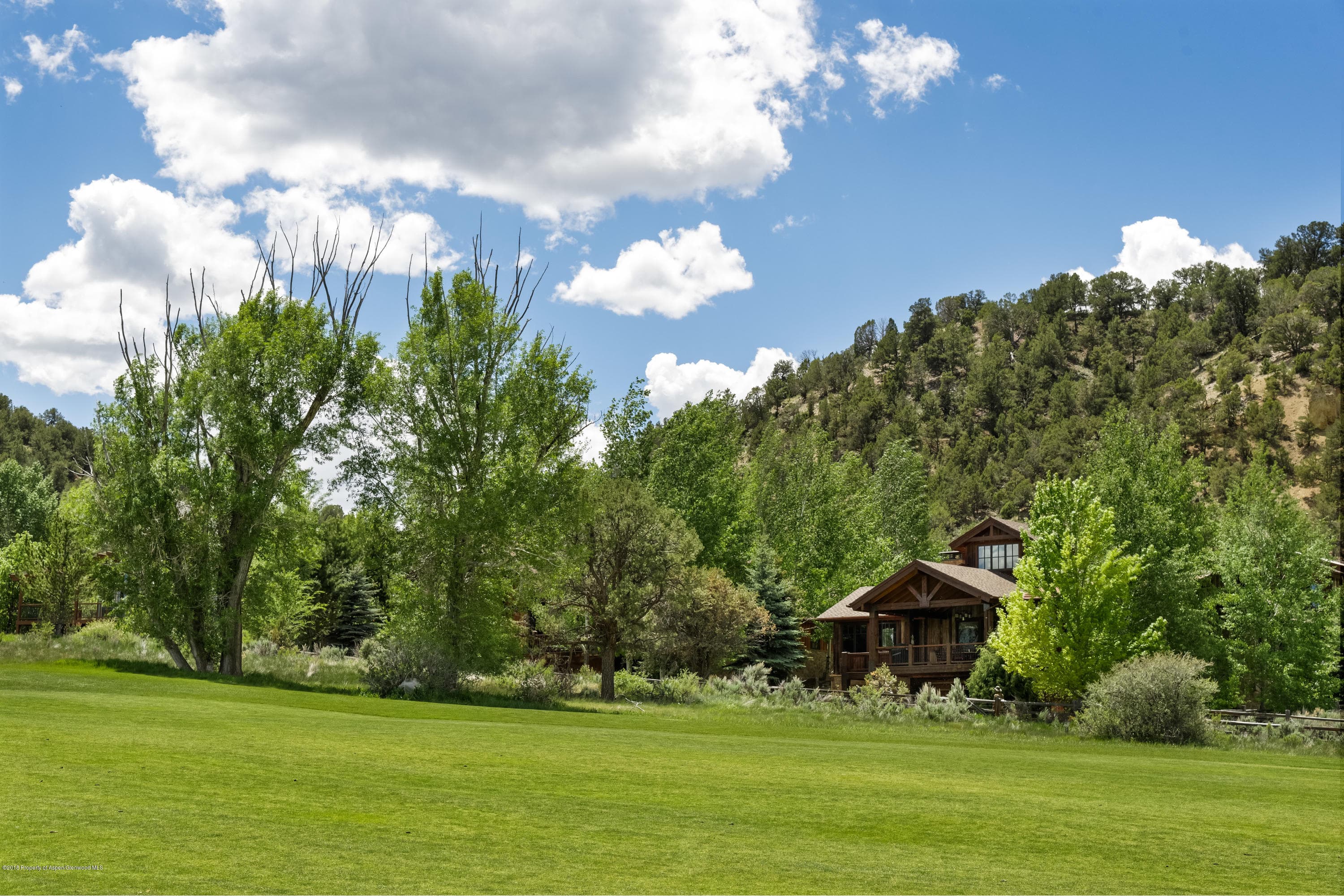 3976 Crystal Bridge Drive, Carbondale, CO 81623 - Photo 29