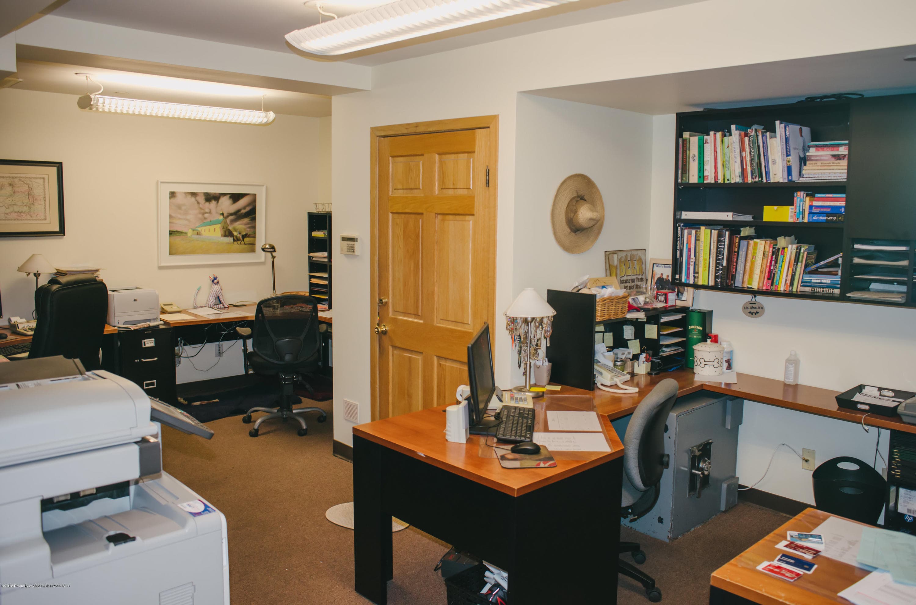 315 E Hyman Avenue, Aspen, CO 81611 - Photo 22