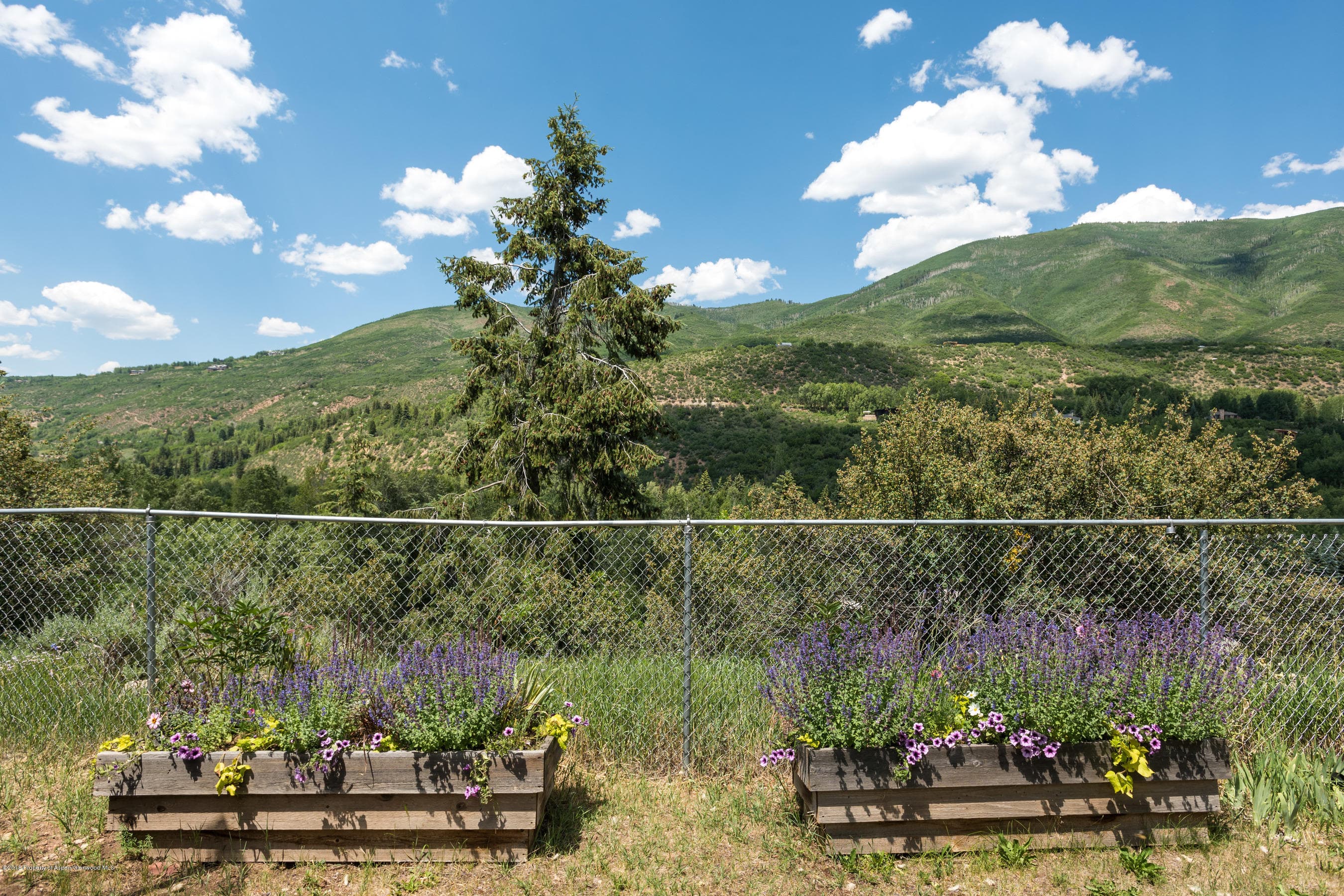 1320 Mountain View Drive, Aspen, CO 81611 - Photo 19