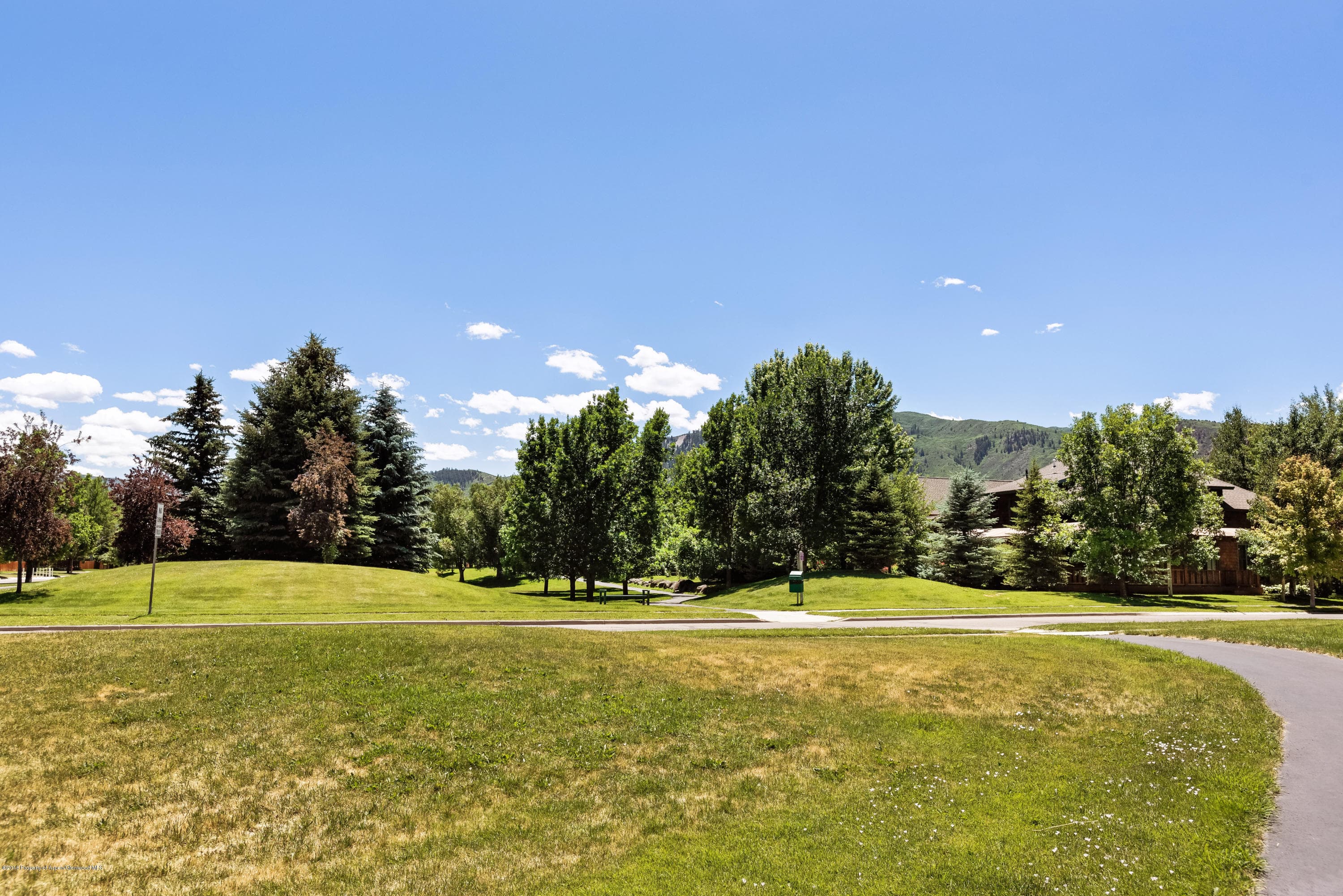 334 Sopris Circle, Basalt, CO 81621 - Photo 8