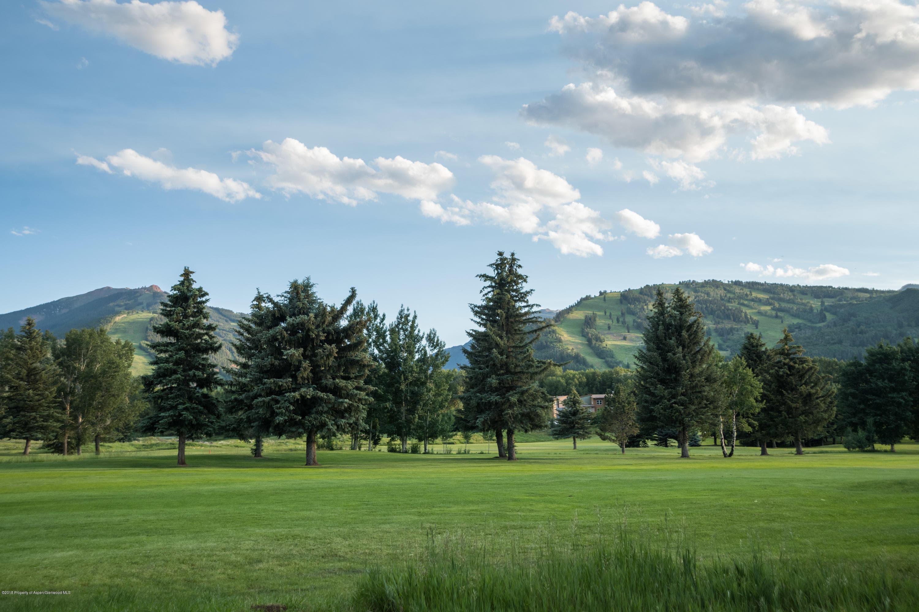 1425 Sierra Vista Unit B, Aspen, CO 81611 - Photo 40