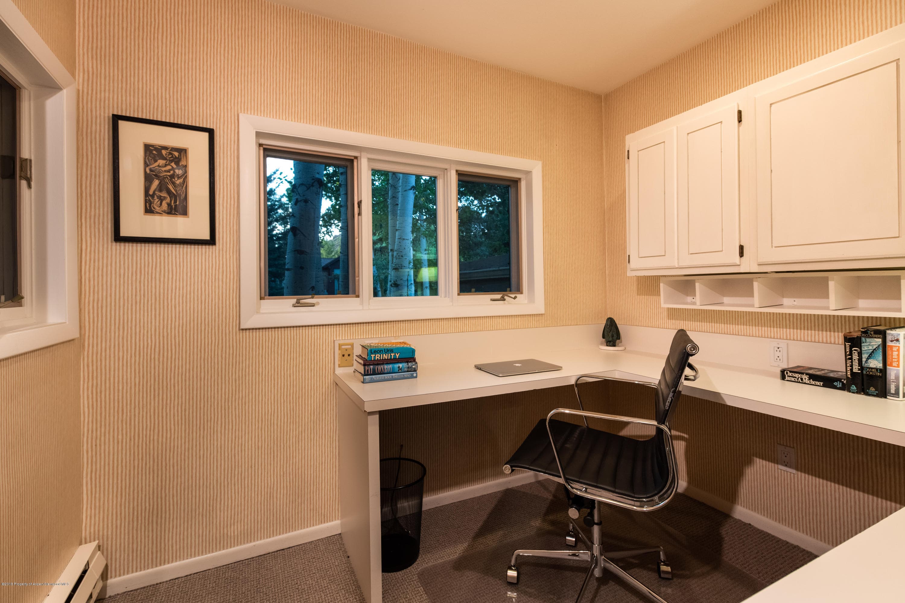1425 Sierra Vista Unit B, Aspen, CO 81611 - Photo 12
