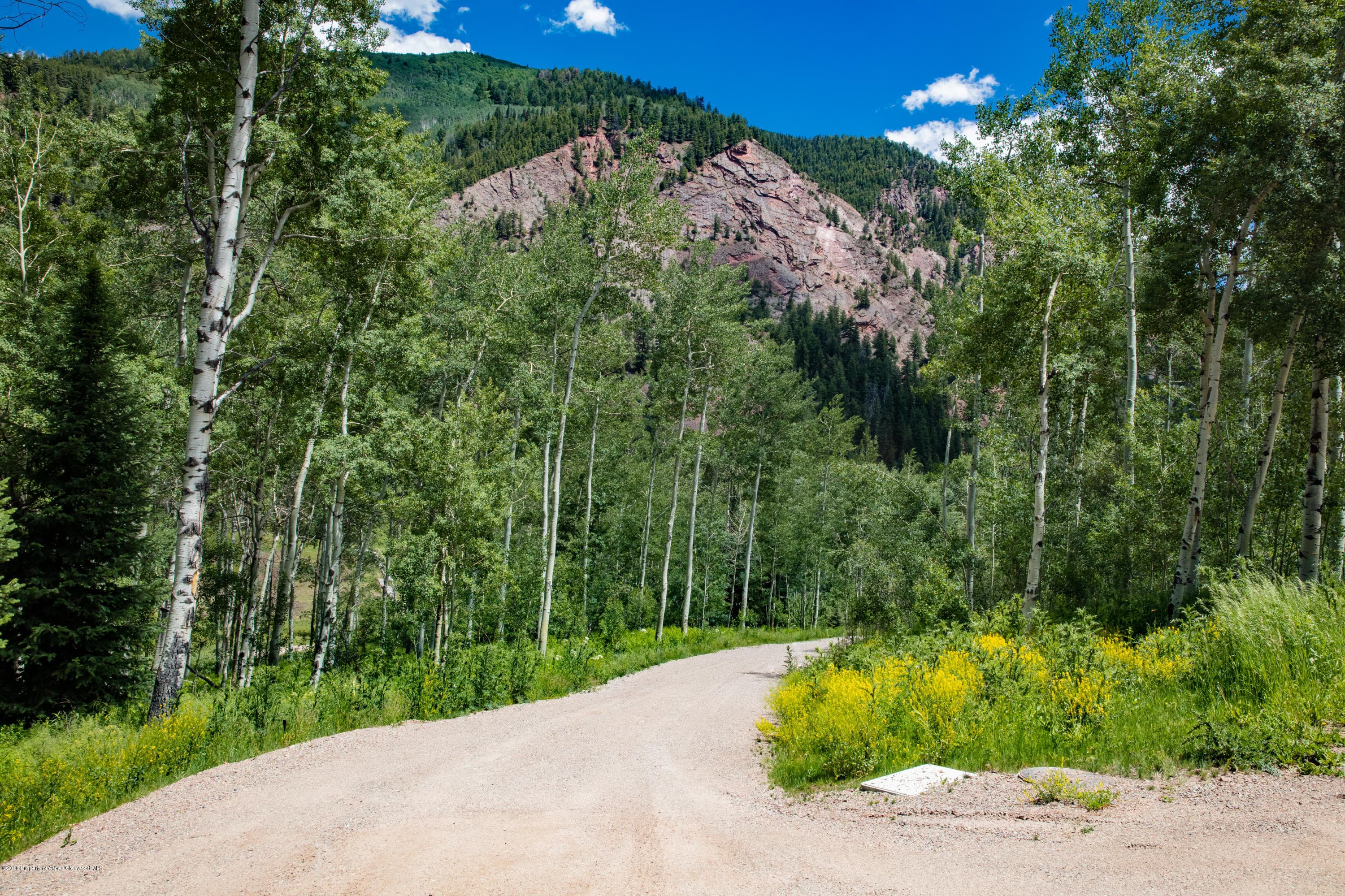 640 S HAYDEN Road, Aspen, CO 81611 - Photo 12