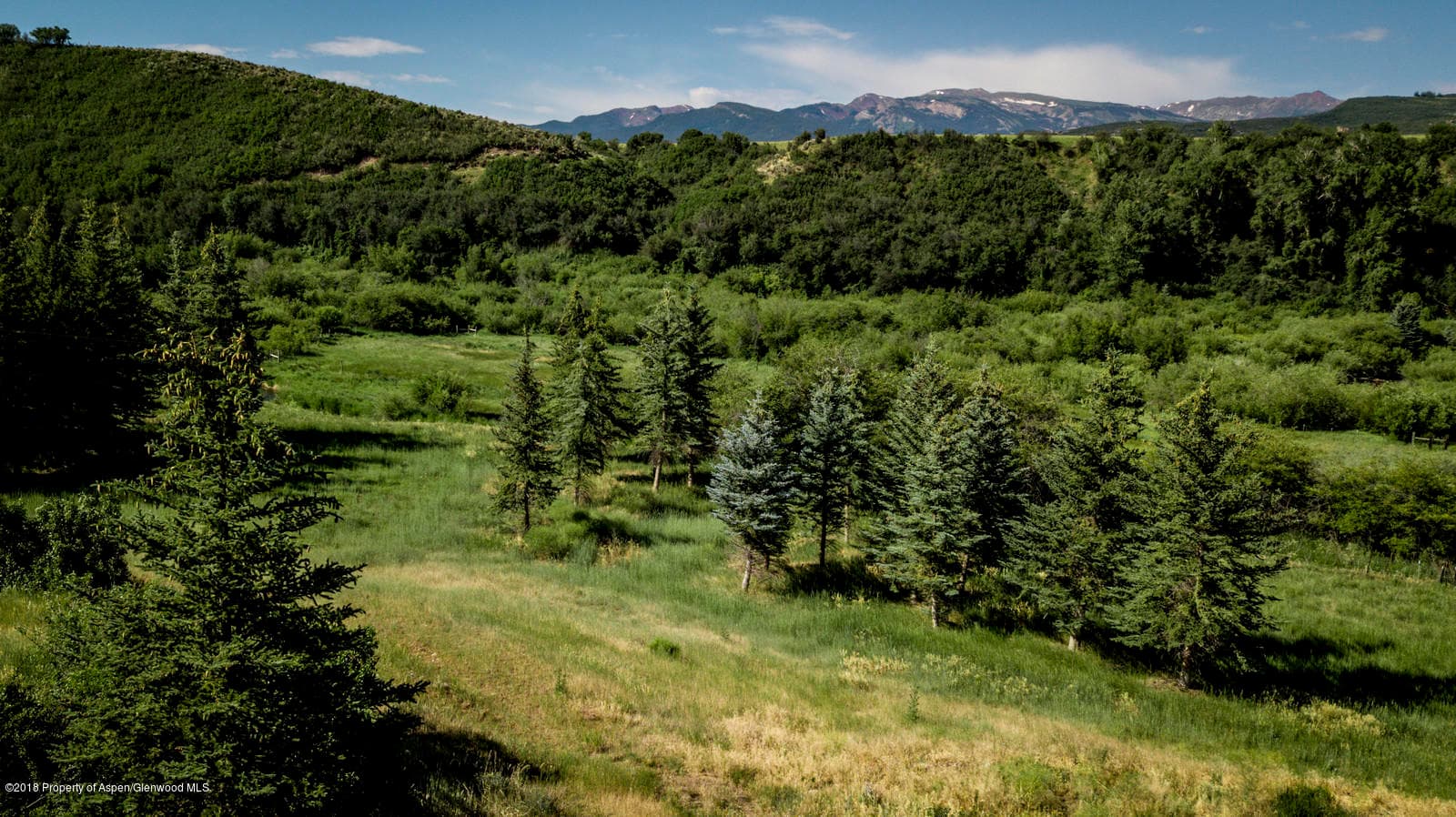 1088 Woody Creek Road, Woody Creek, CO 81656 - Photo 7