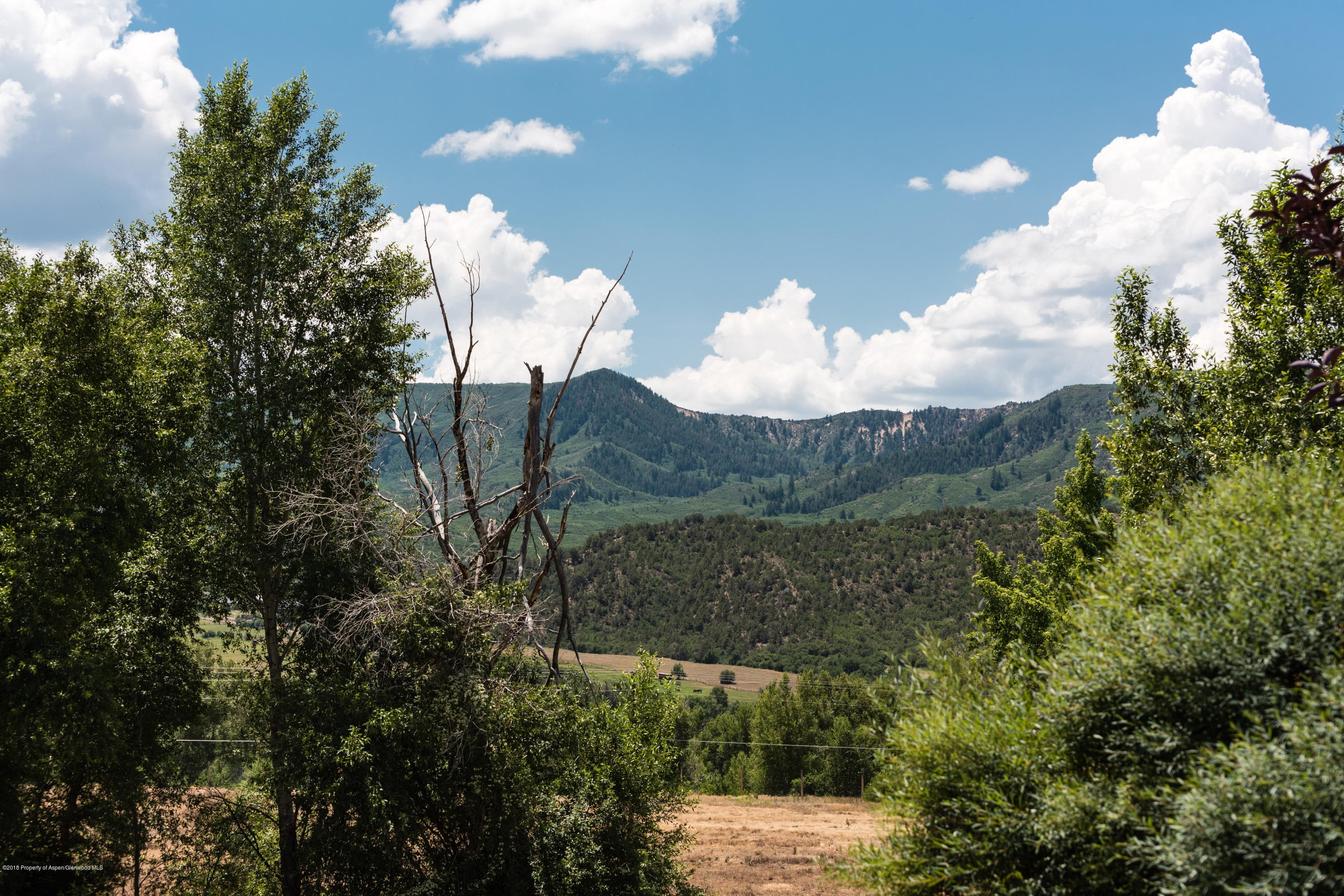 26 Valley Court, Carbondale, CO 81623 - Photo 13