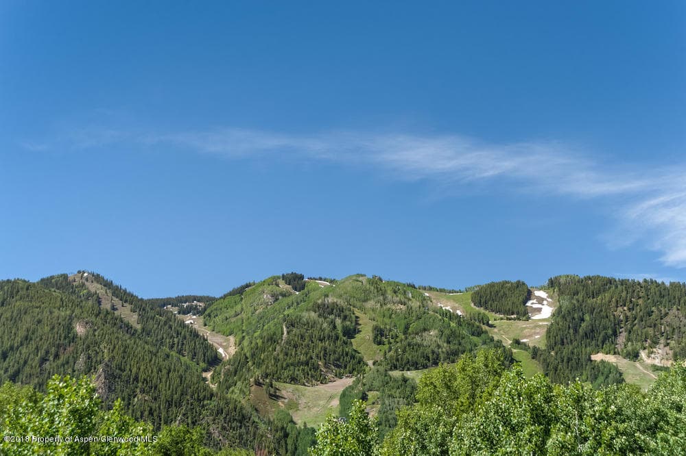 40 Spruce Court, Aspen, CO 81611 - Photo 2