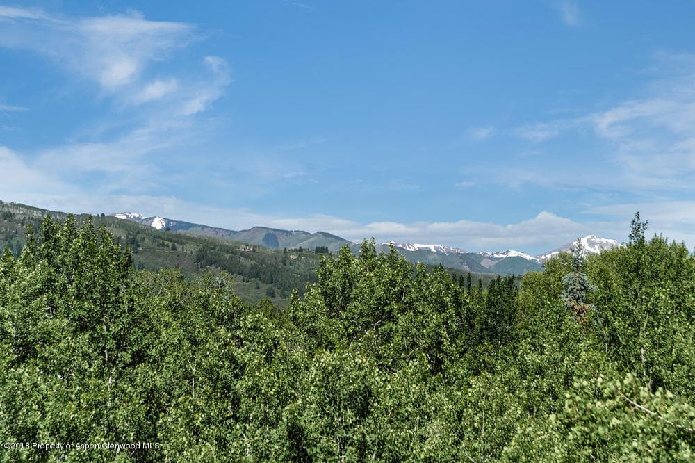 40 Spruce Court, Aspen, CO 81611 - Photo 4