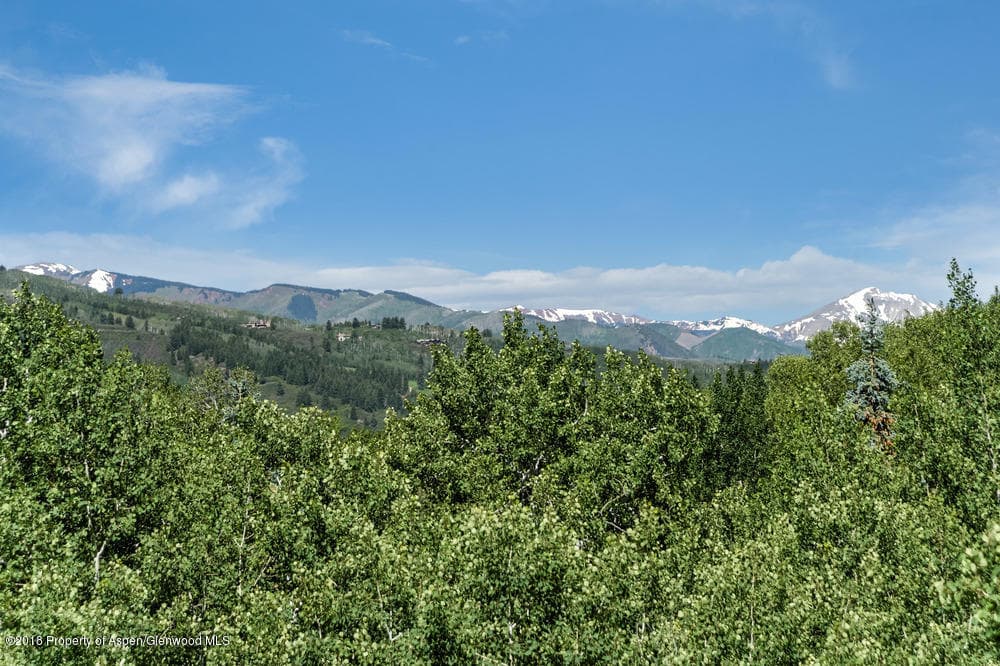 40 Spruce Court, Aspen, CO 81611 - Photo 5