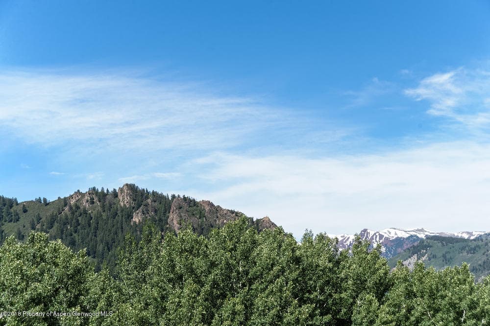 40 Spruce Court, Aspen, CO 81611 - Photo 7