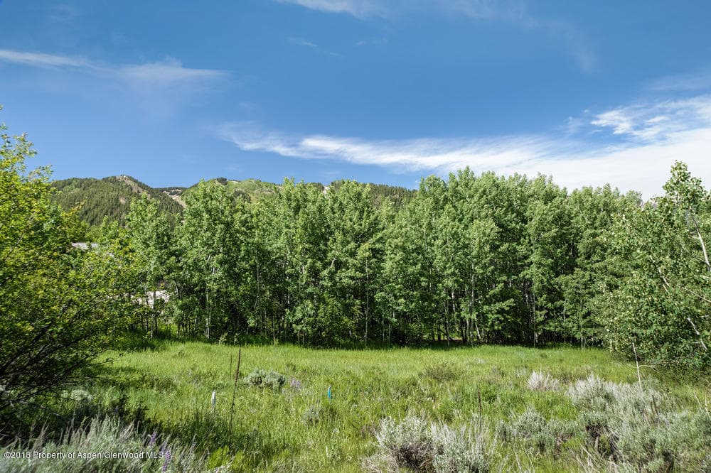 40 Spruce Court, Aspen, CO 81611 - Photo 9