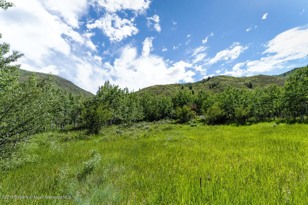 40 Spruce Court, Aspen, CO 81611 - Photo 10